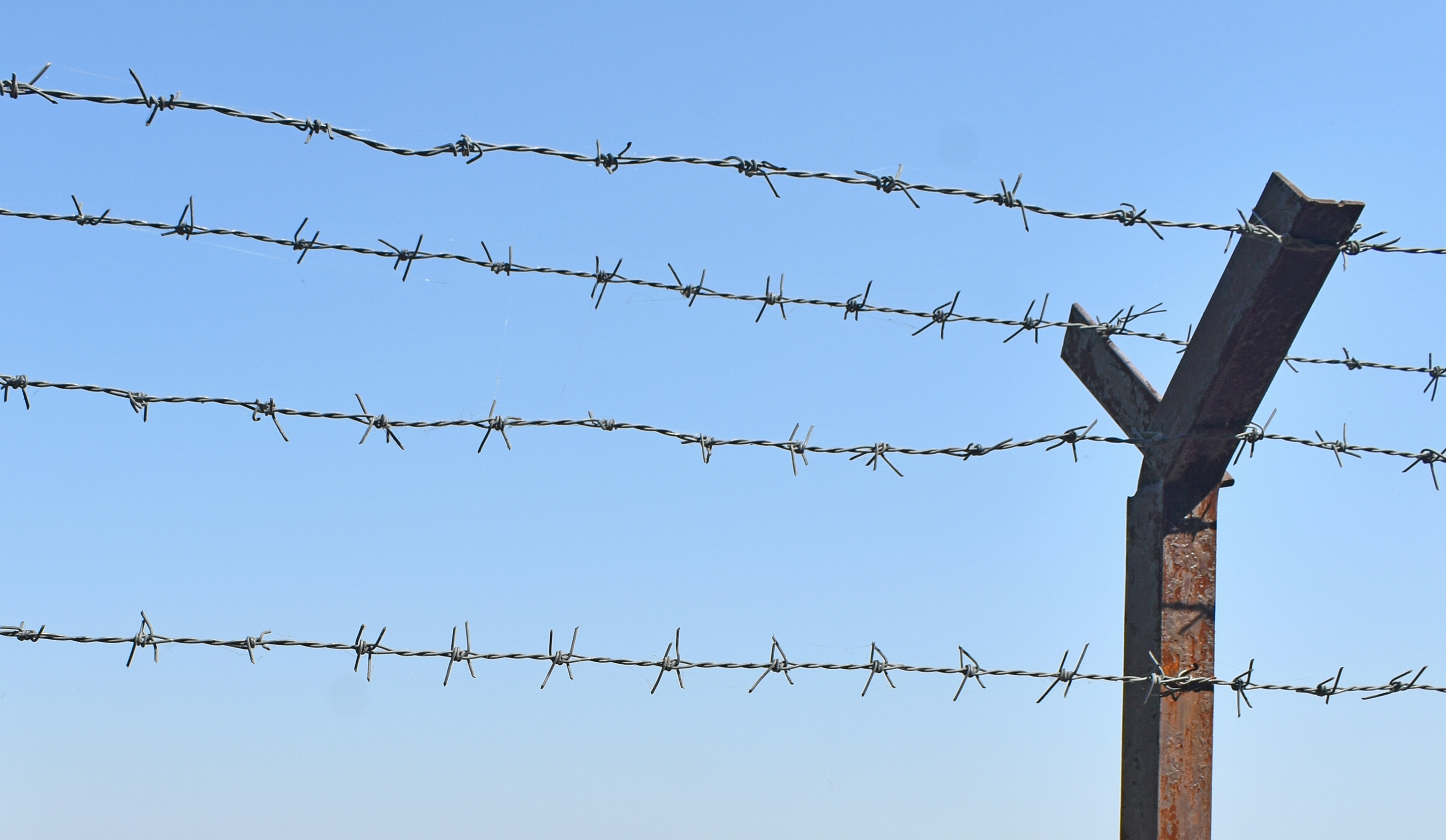 Barbed wire fence against a clear blue sky.