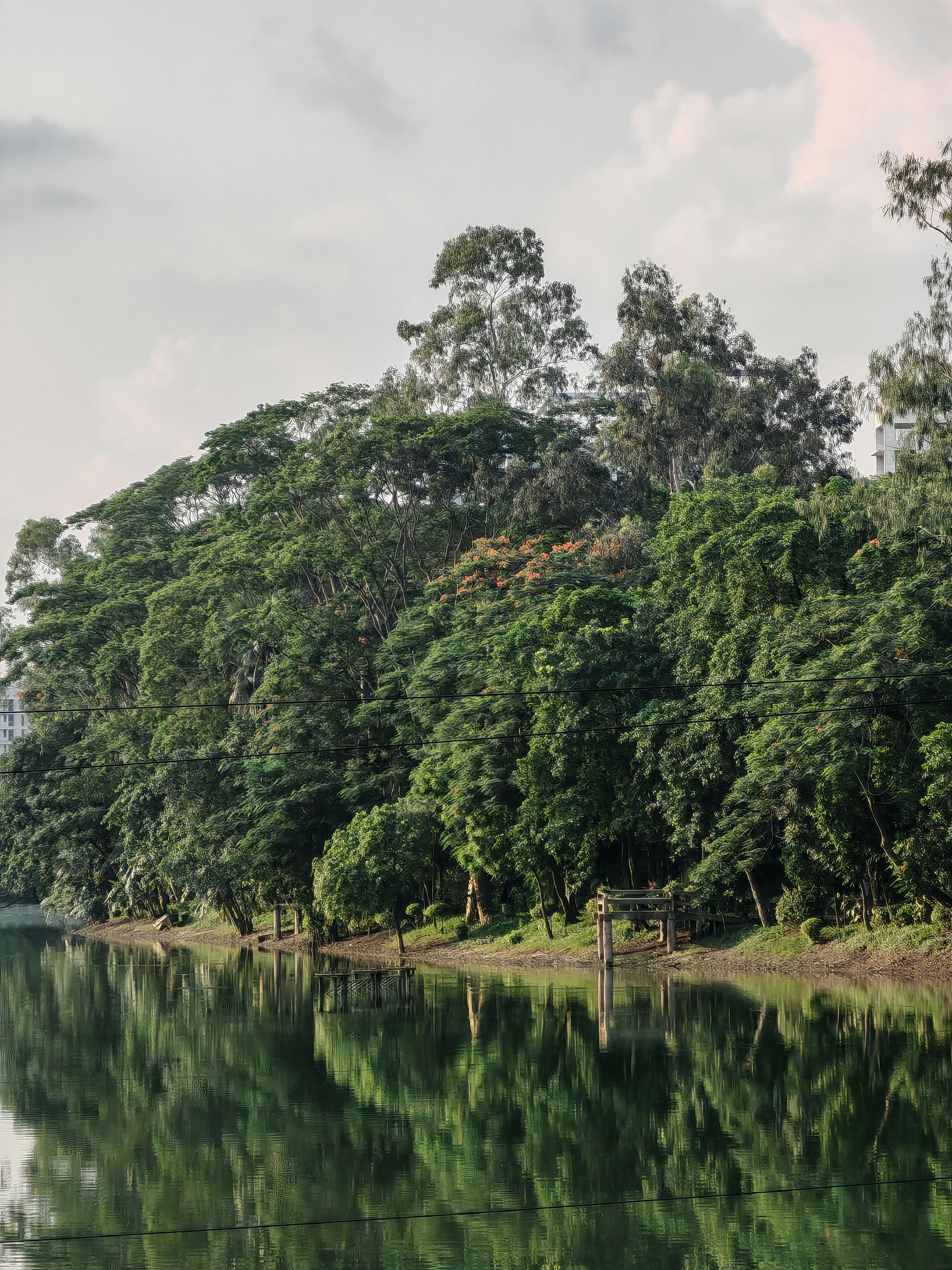 Photo by sajidulbari