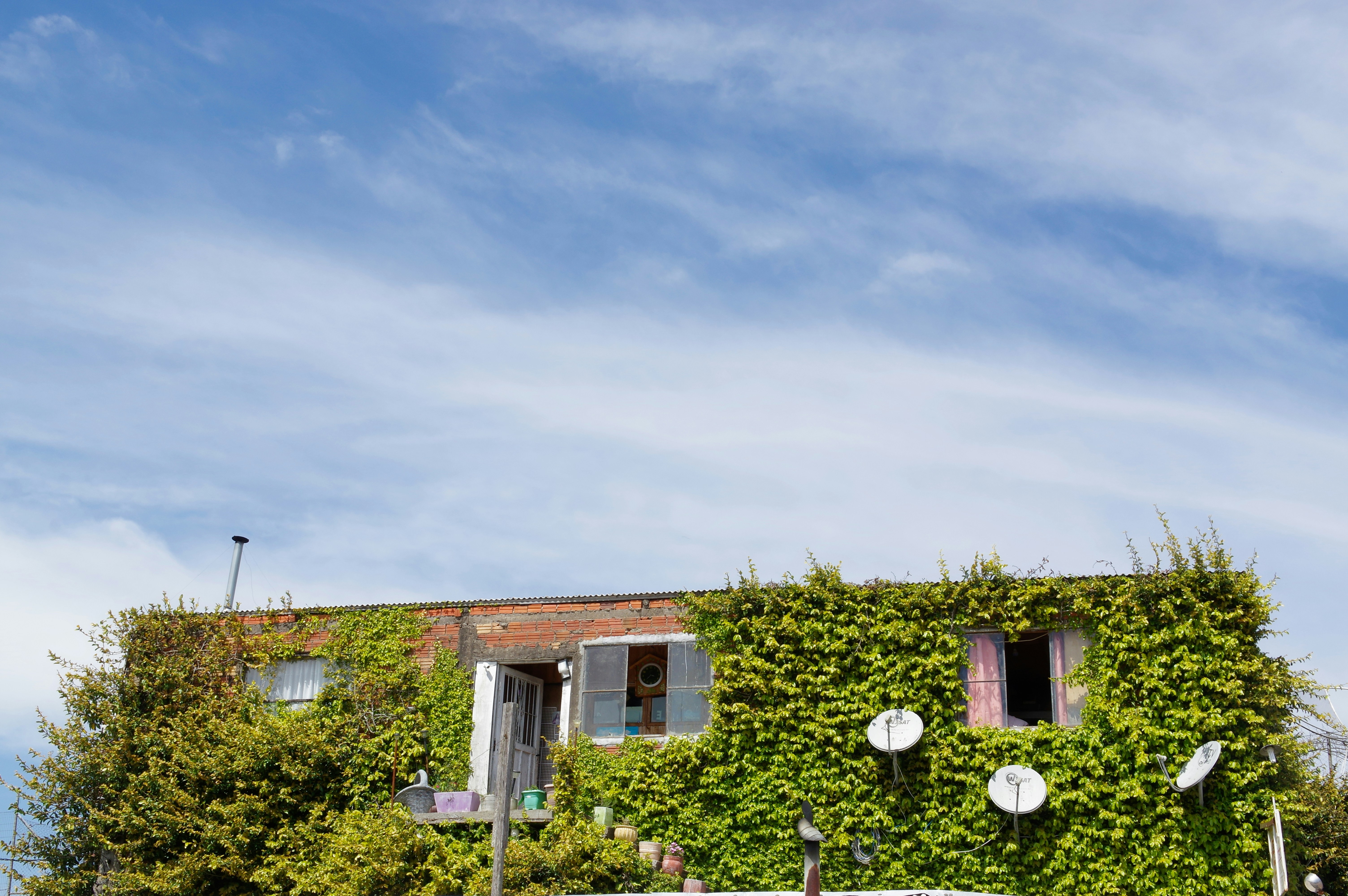 Photo by carlostoigo