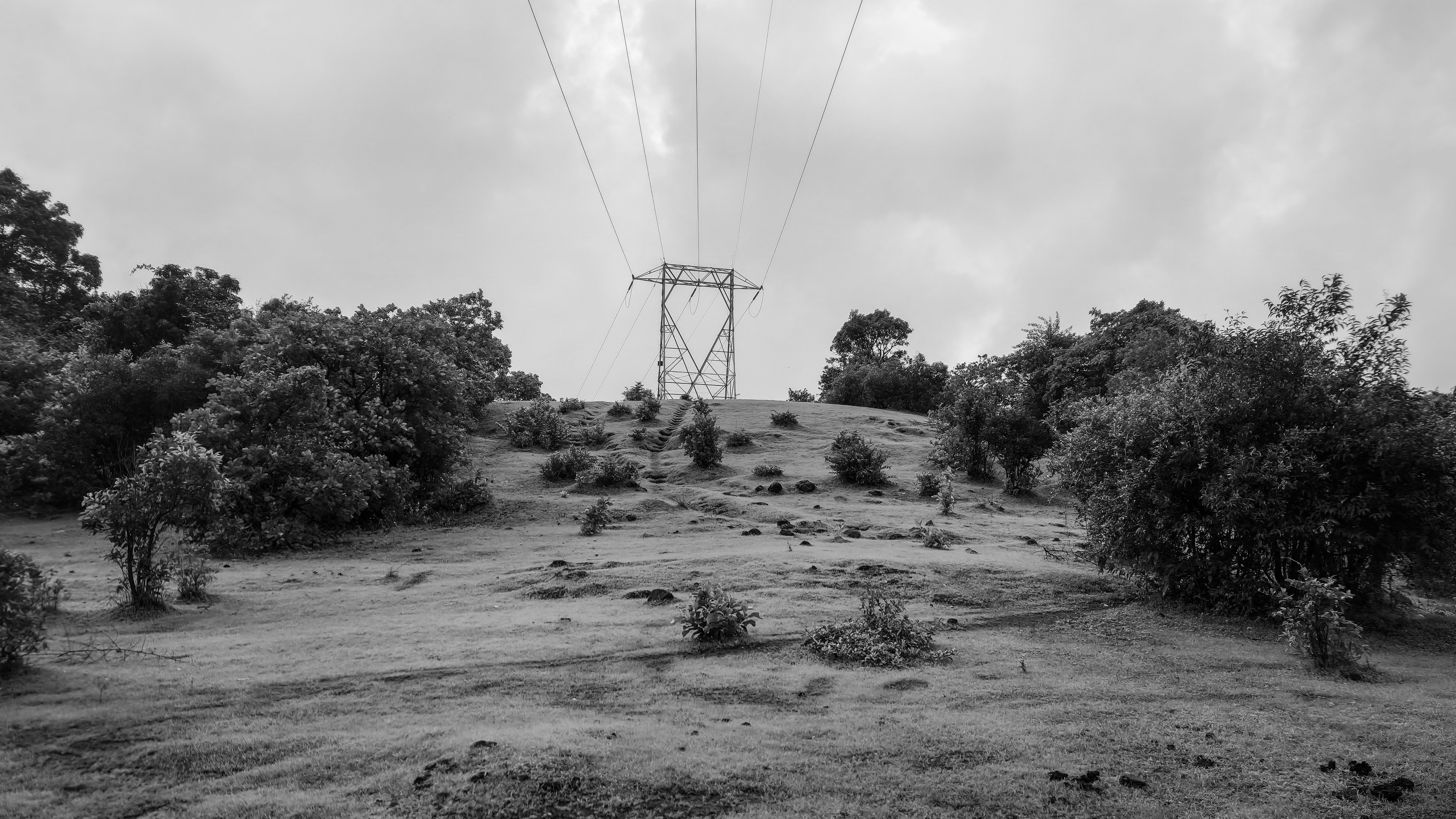 Photo by zoshuacolah