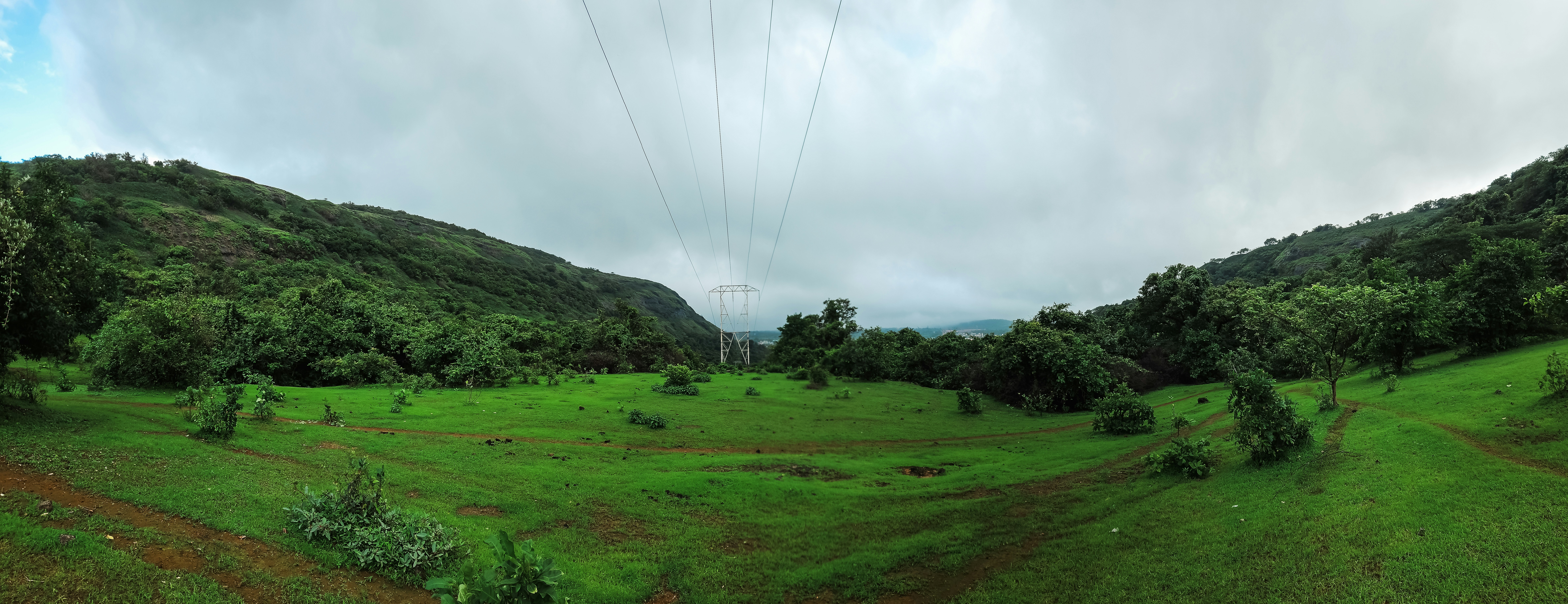 Photo by zoshuacolah