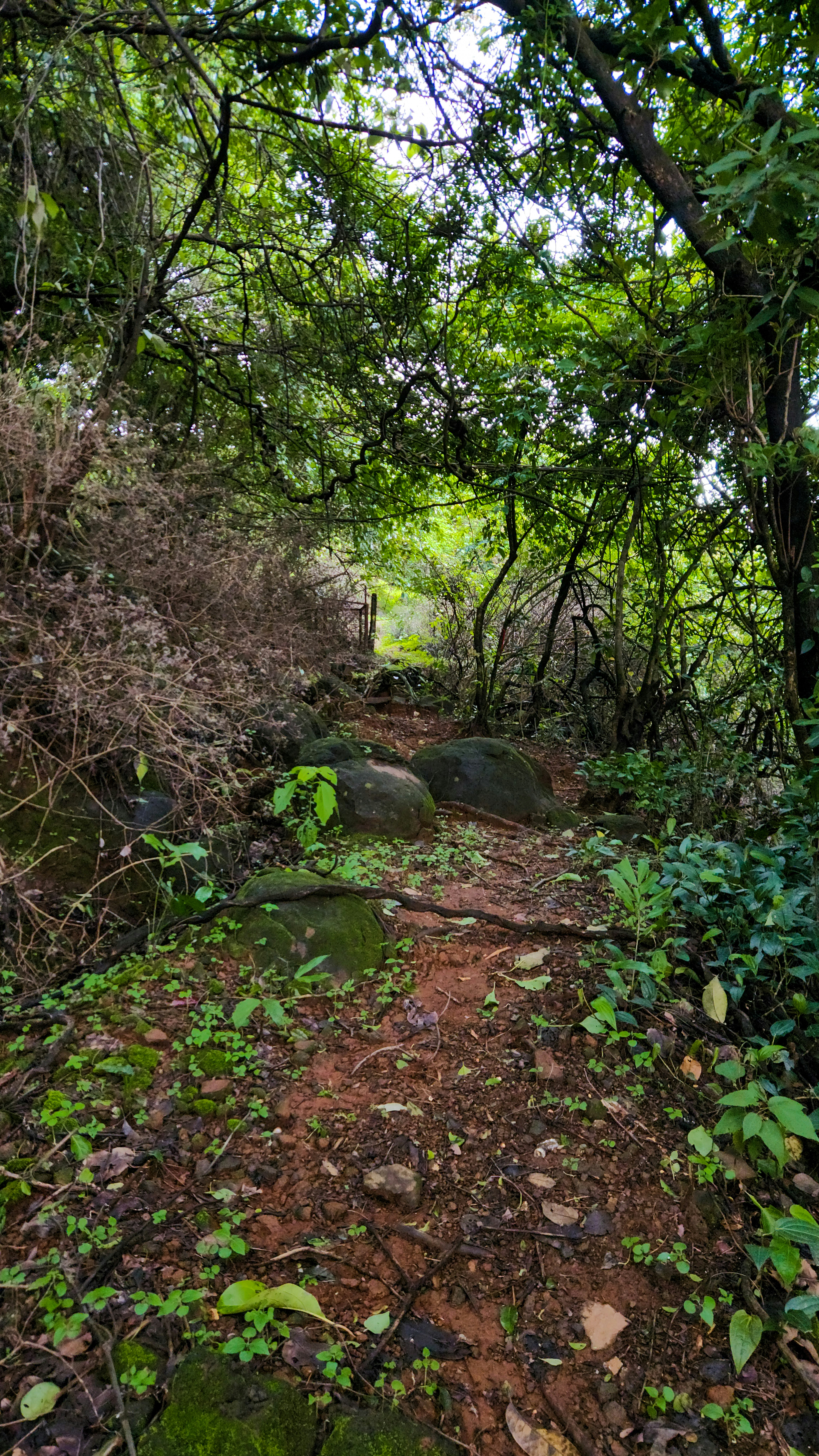 Photo by zoshuacolah