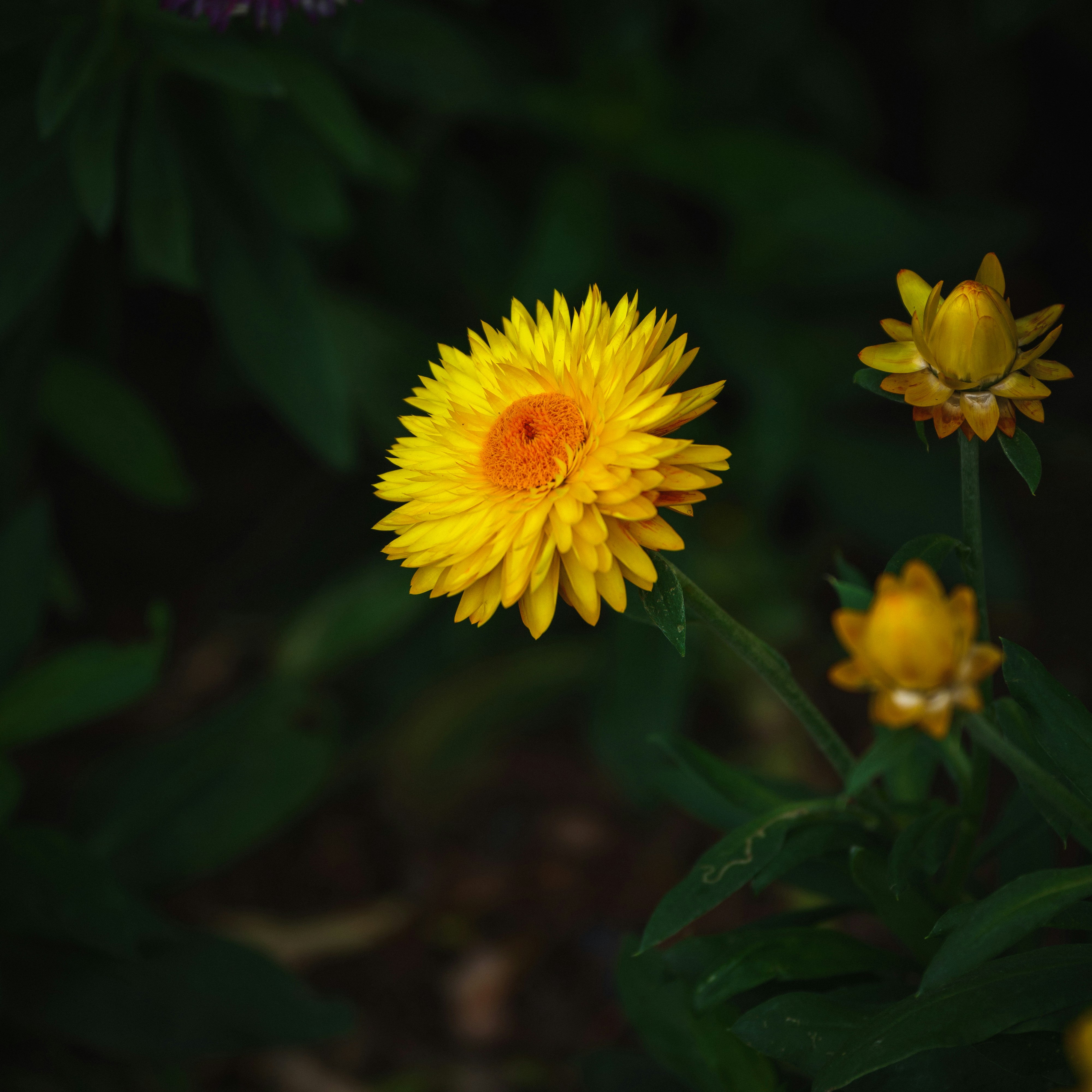 Photo by summerobelisk