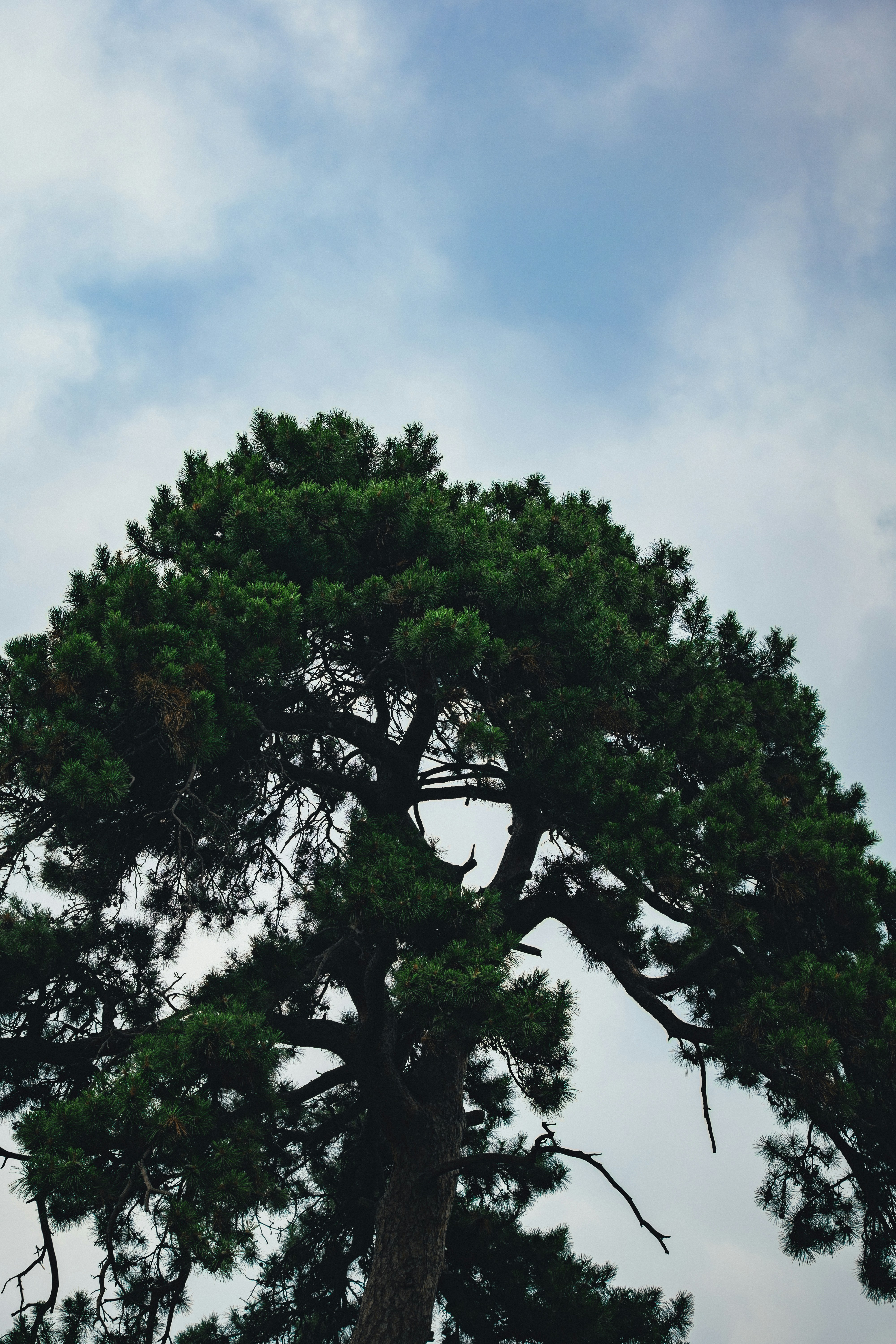 Photo by summerobelisk