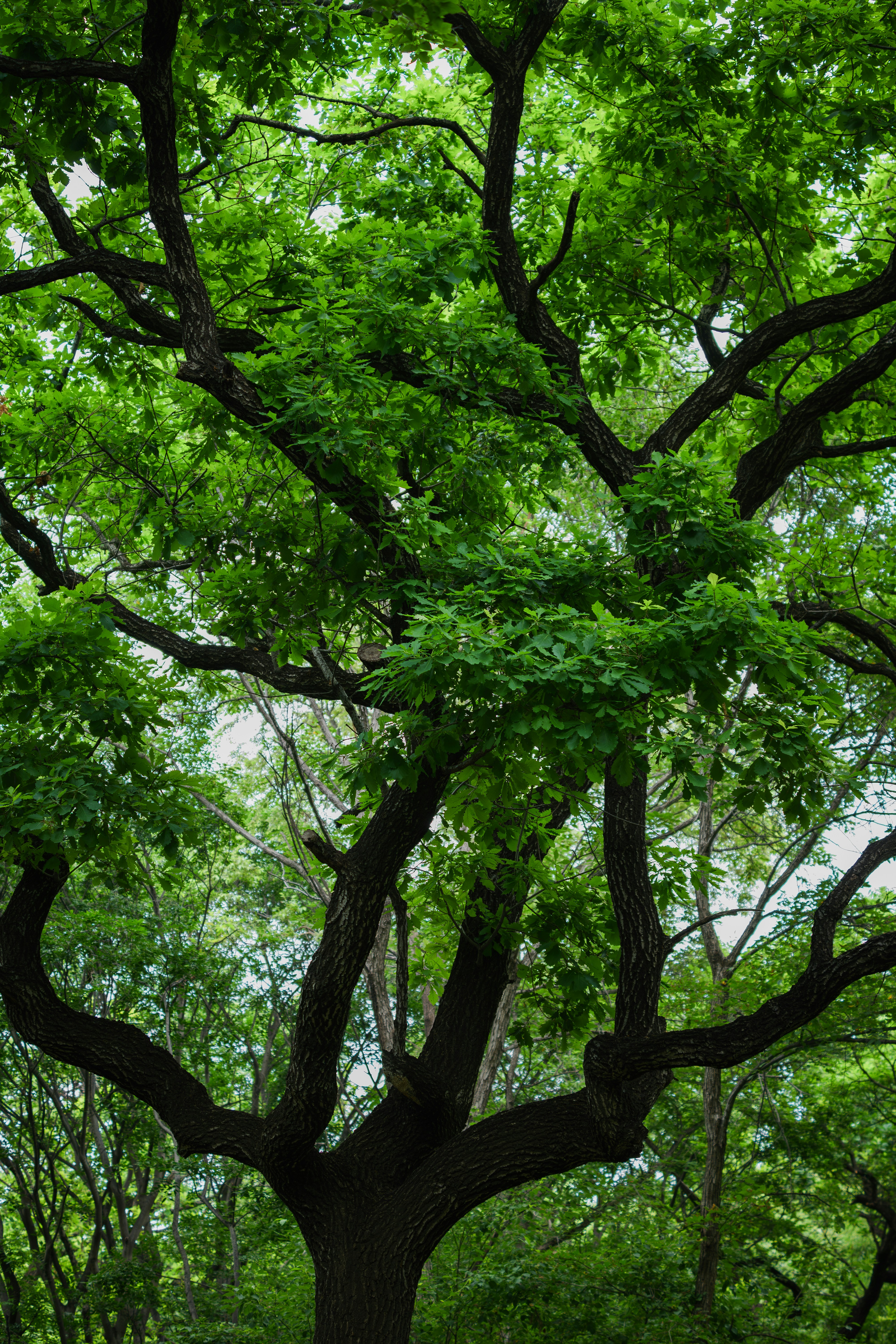 Photo by summerobelisk