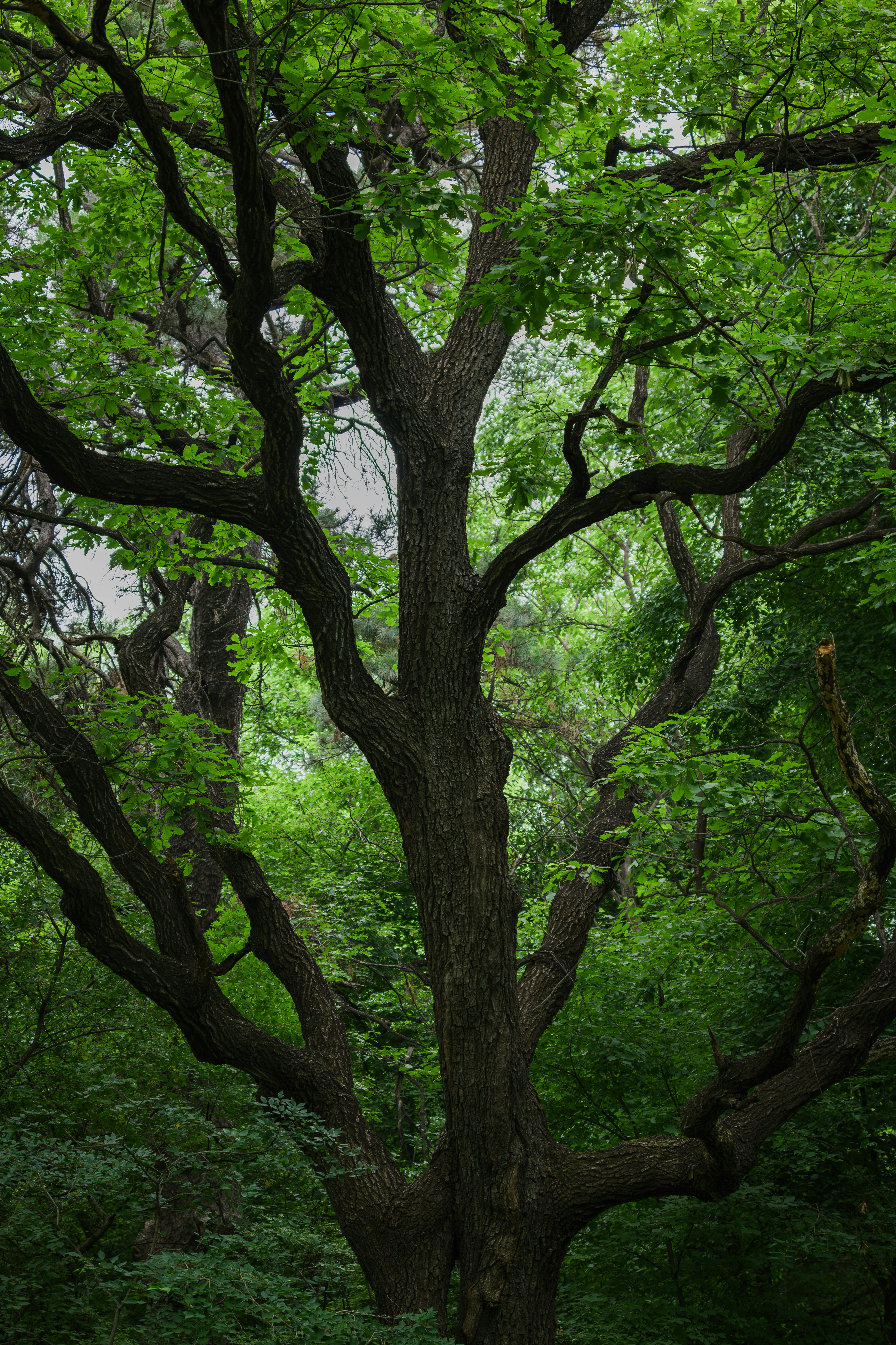 Photo by summerobelisk