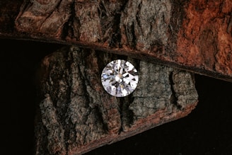 A sparkling diamond rests on a bed of wood.