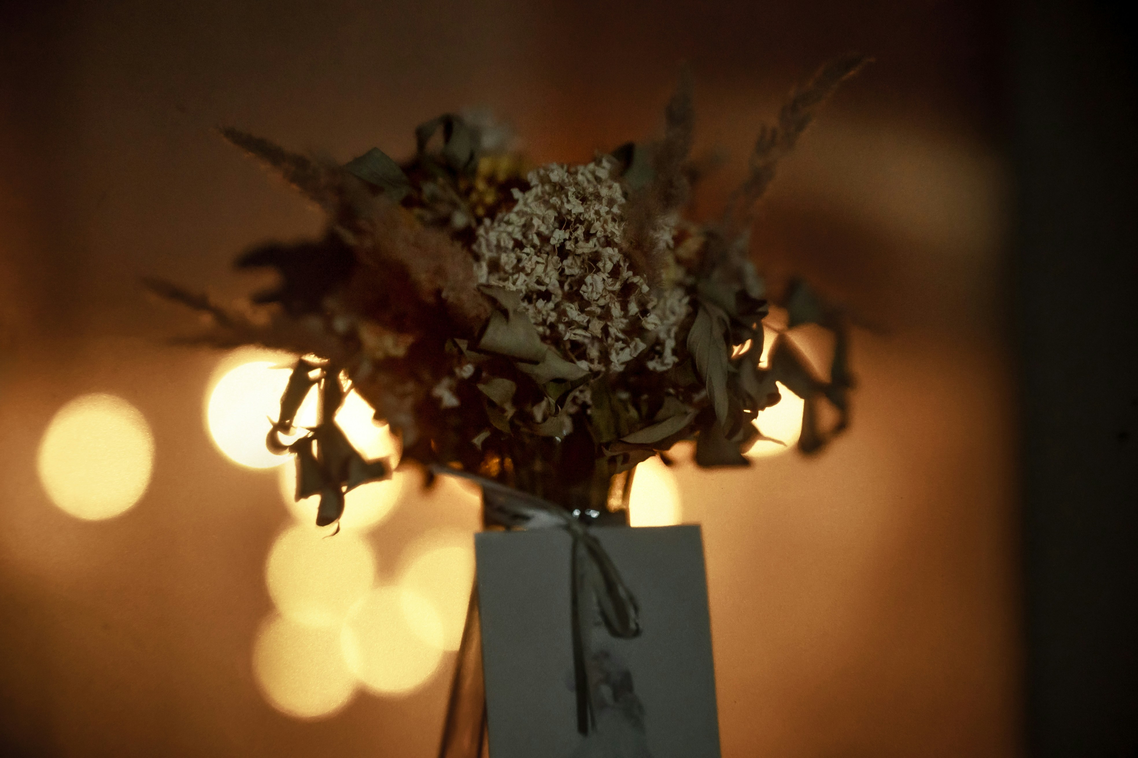 Photo by andrilliardbond