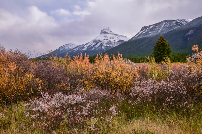 8-Day Canada Luxury Travel Itinerary & Classic Routes