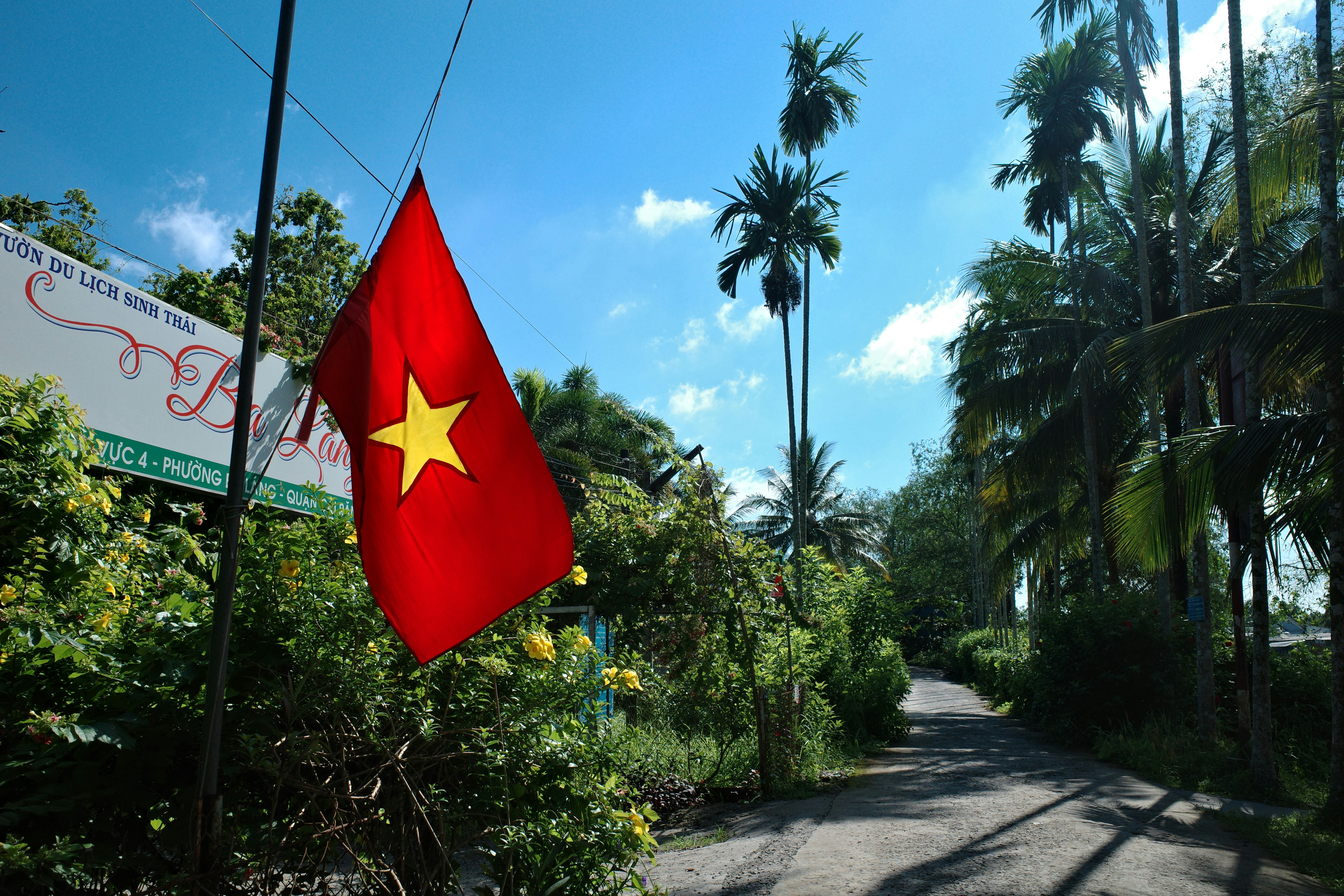 A Vietnamese flag beside a palm-lined lane at the entrance to an eco-tourism garden in Can Tho