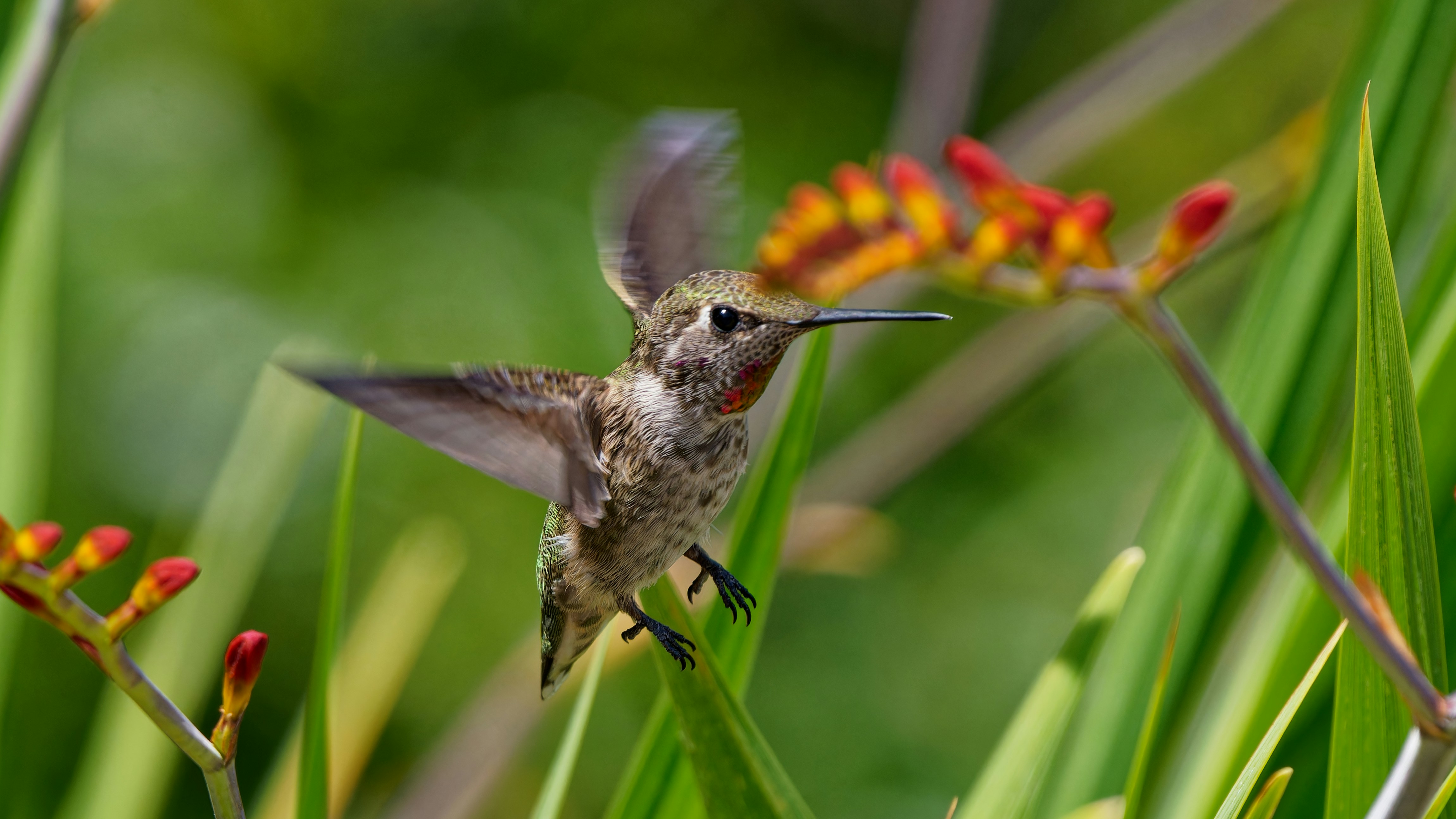 Photo by patrickbigelow_zoom_in