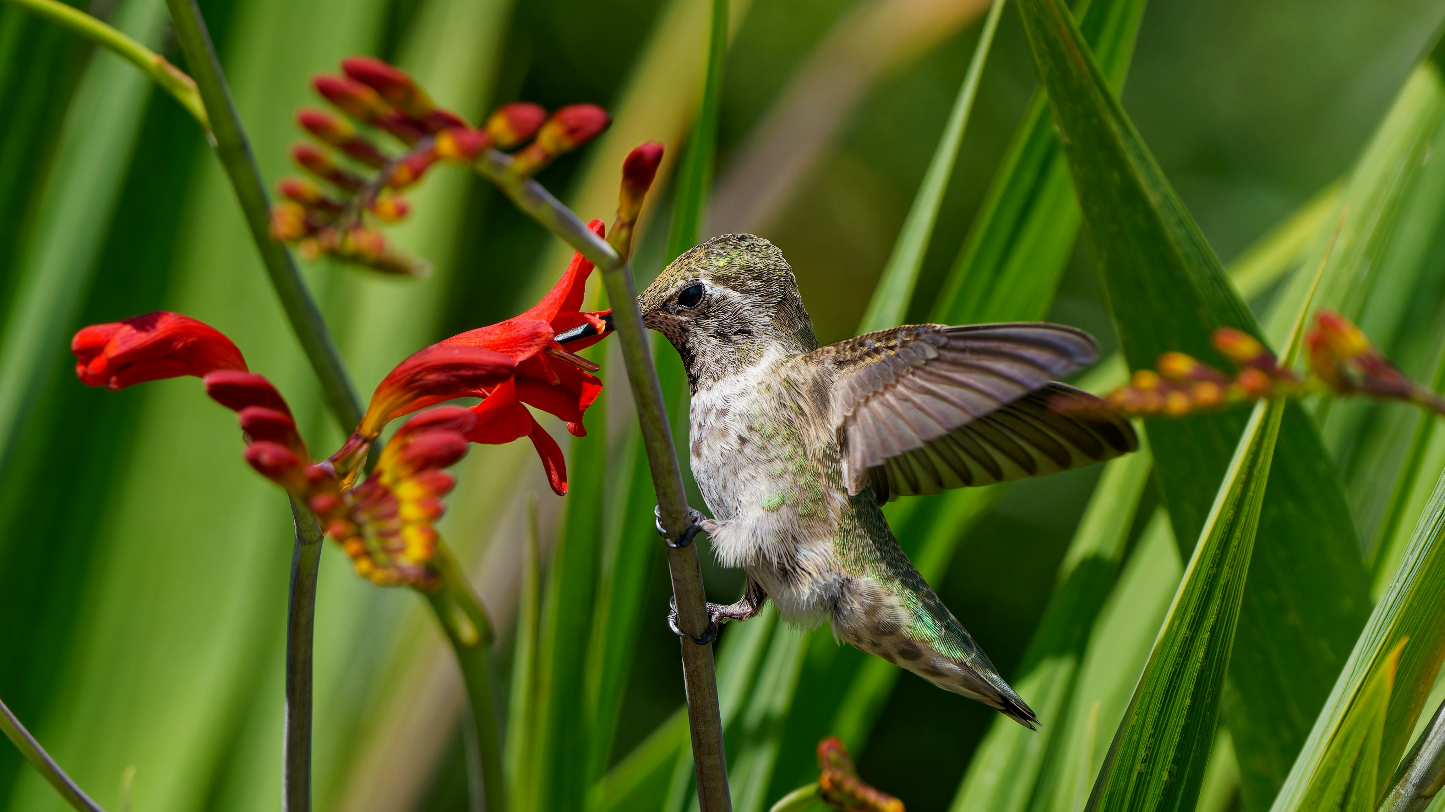 Photo by patrickbigelow_zoom_in