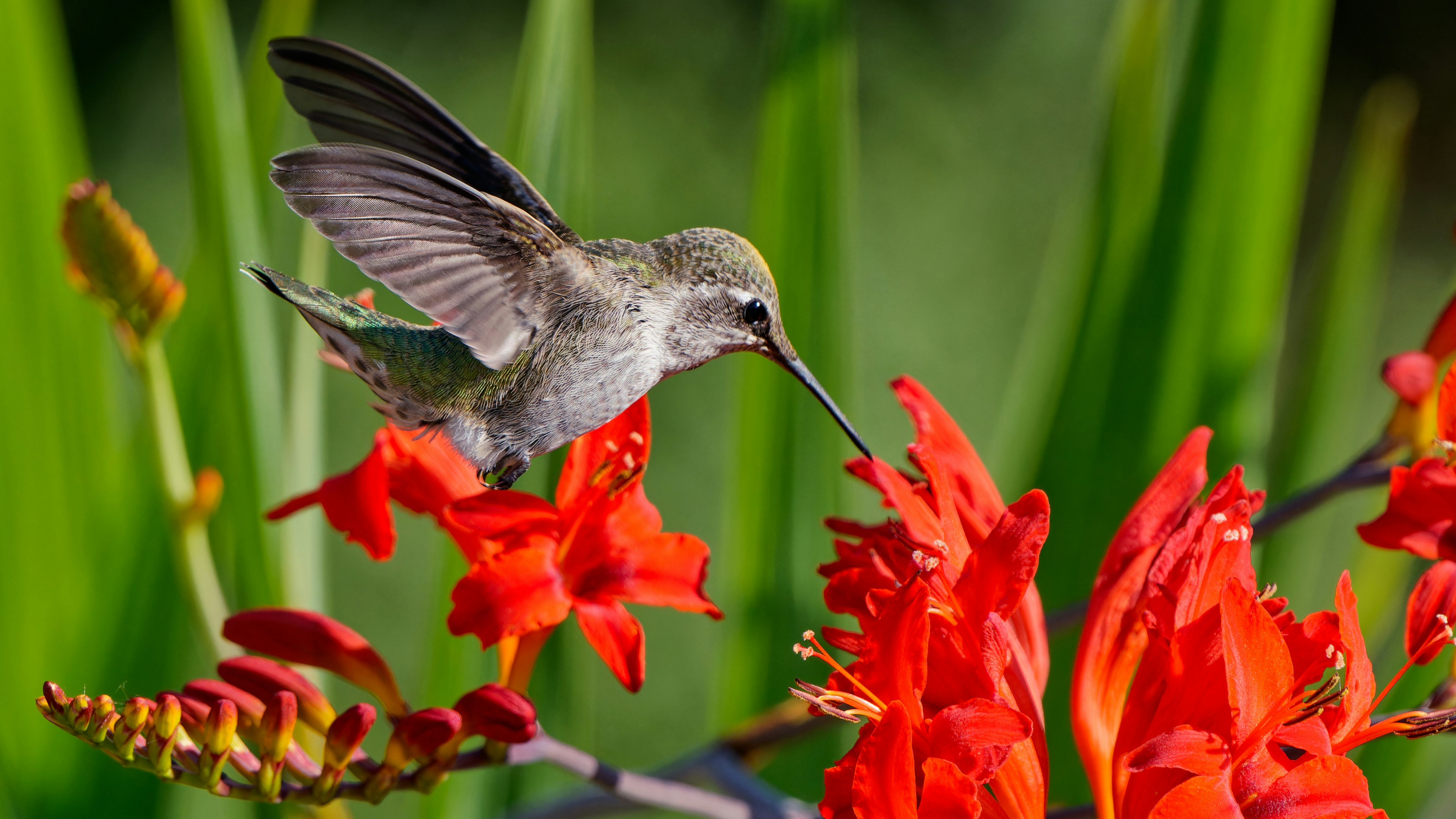 Photo by patrickbigelow_zoom_in