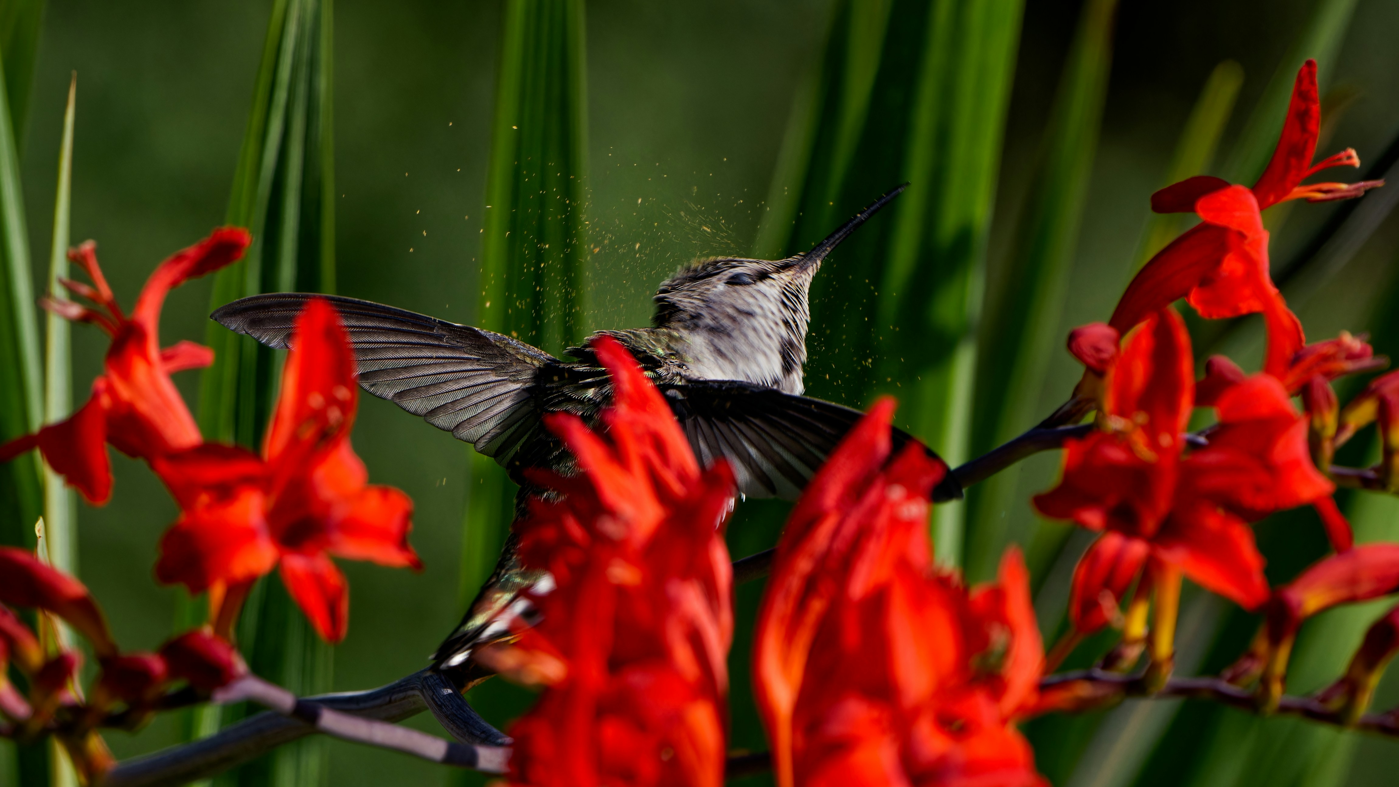 Photo by patrickbigelow_zoom_in