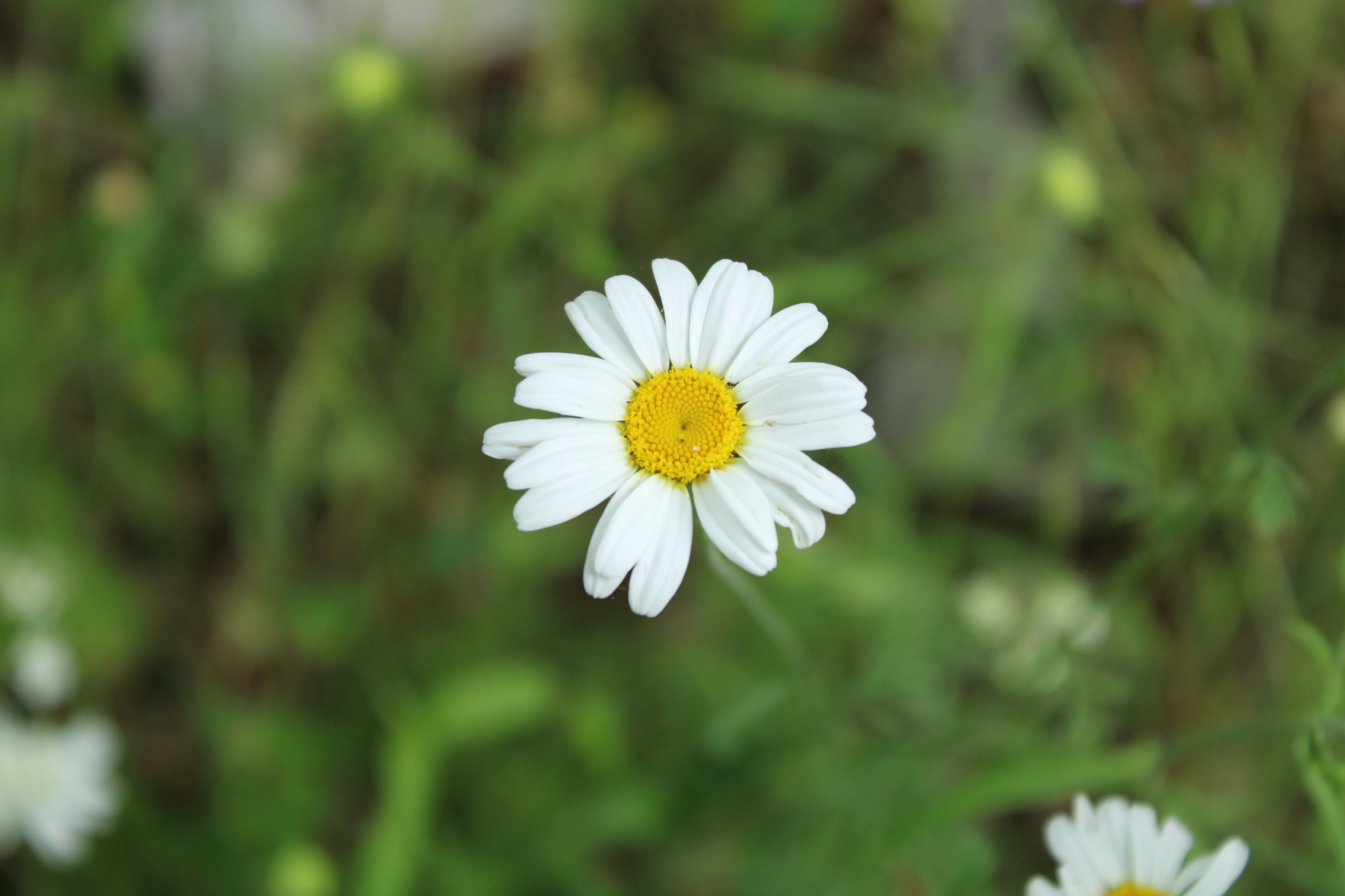 Photo by holymayrytaylor