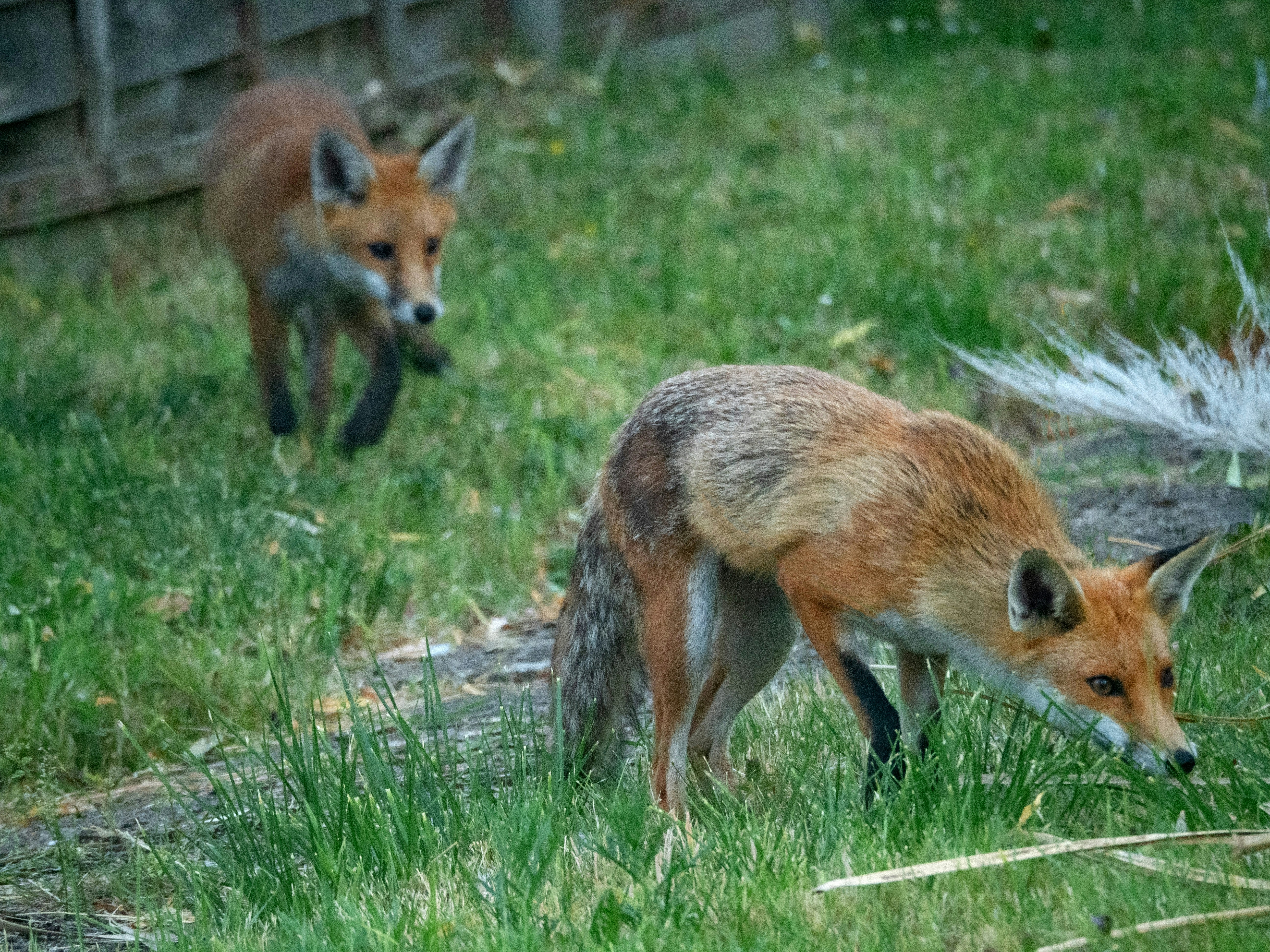 Photo by brett_jordan