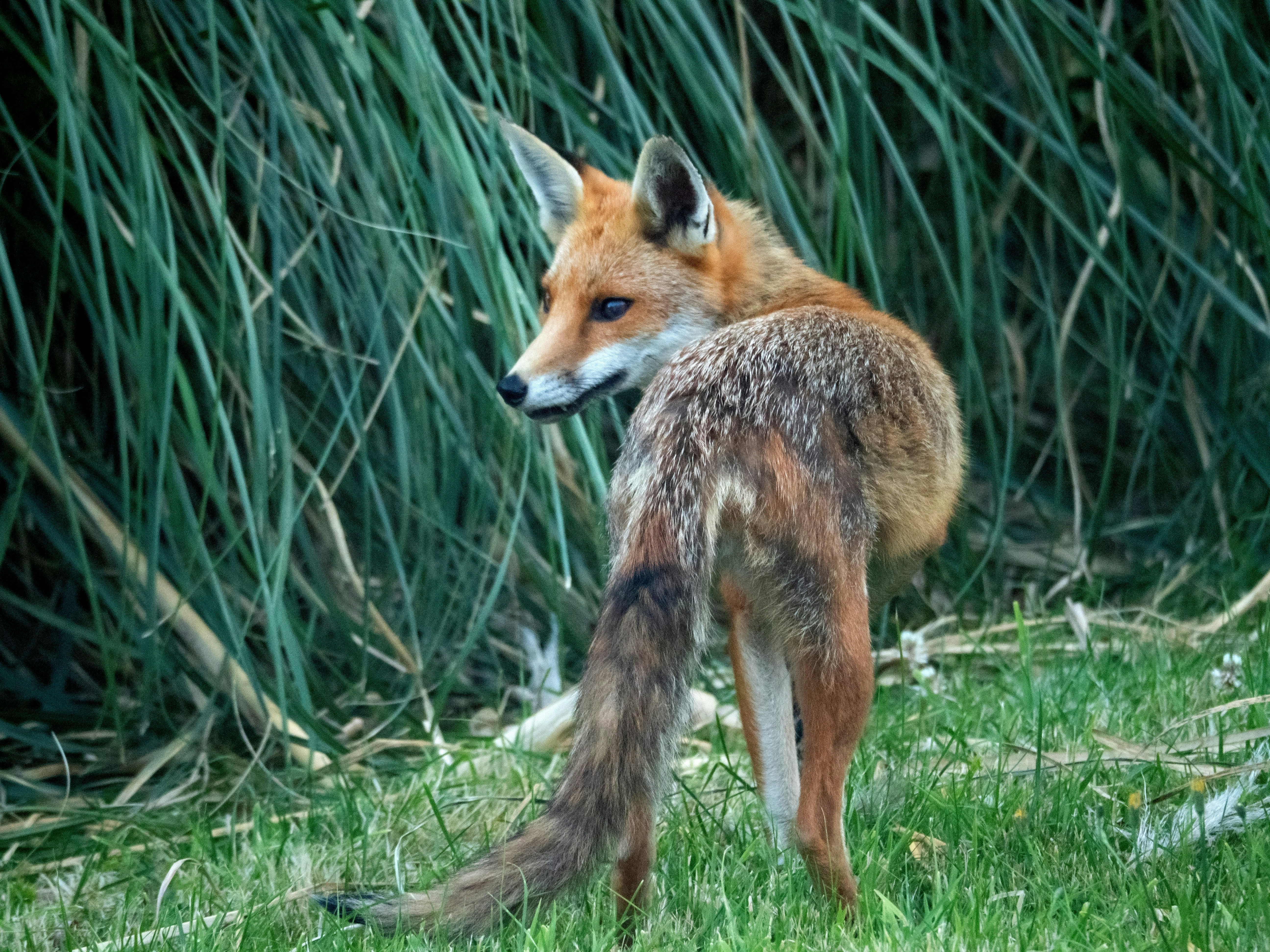 Photo by brett_jordan