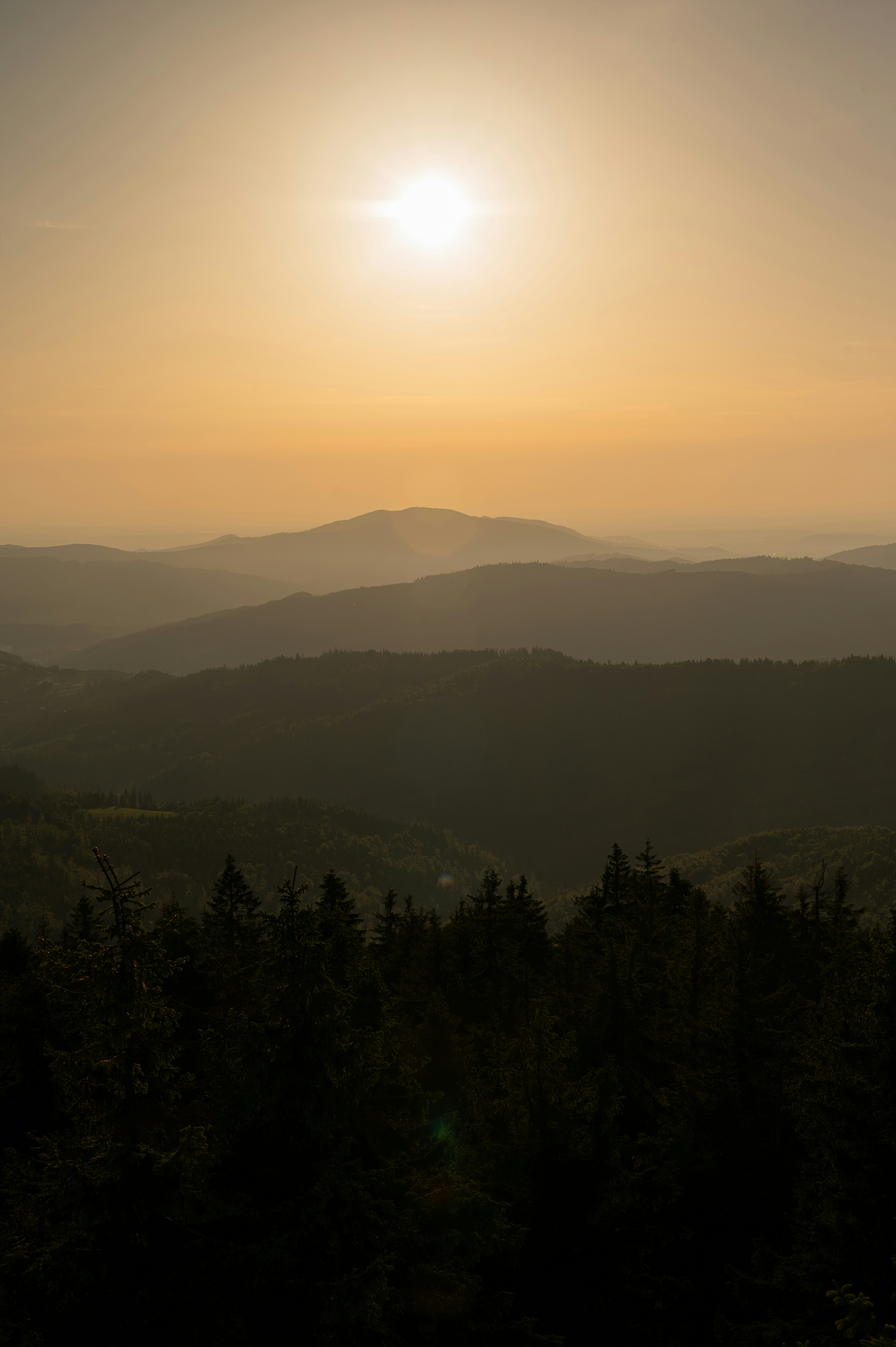 Photo by alexandra_p_d