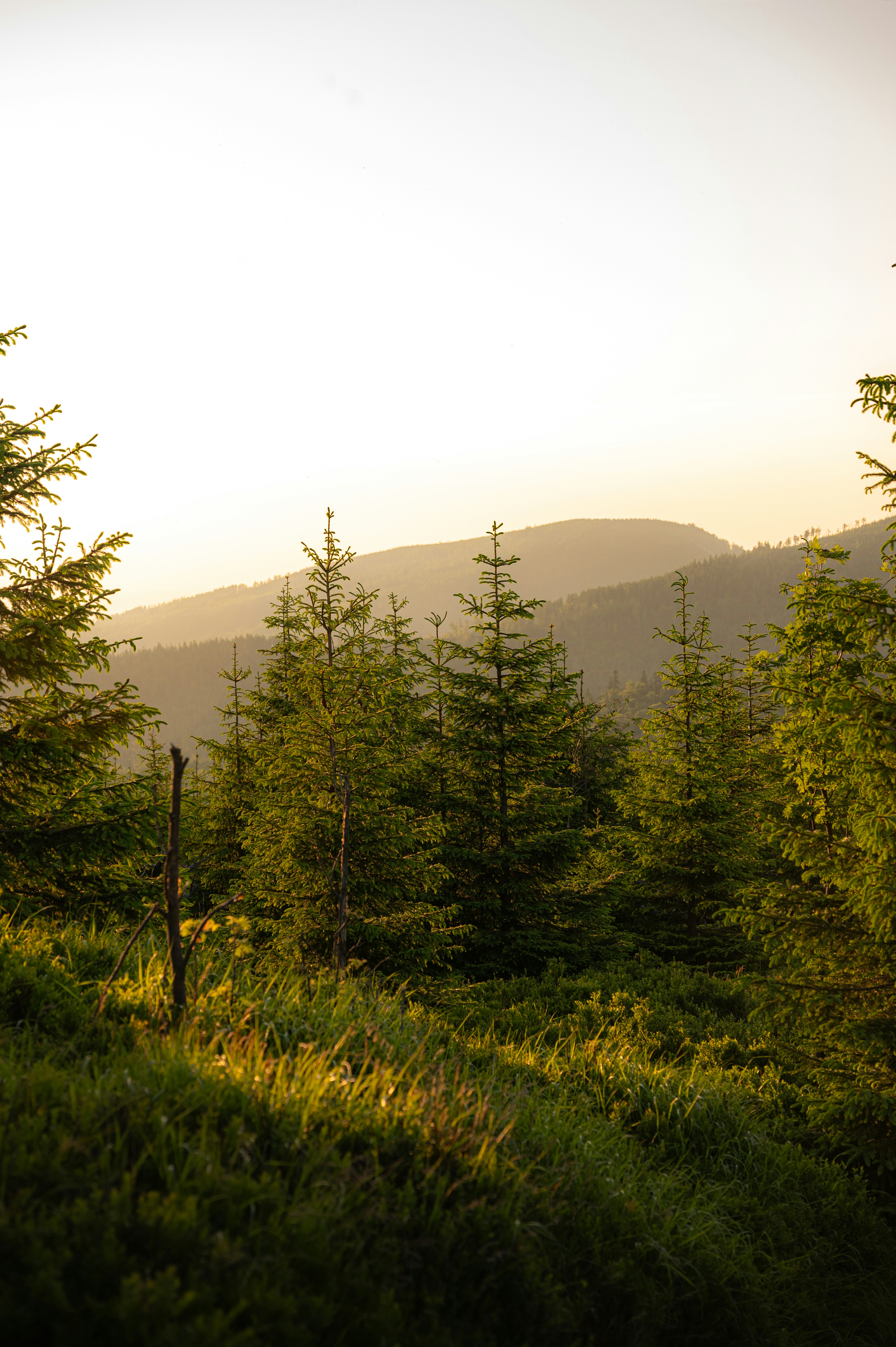 Photo by alexandra_p_d