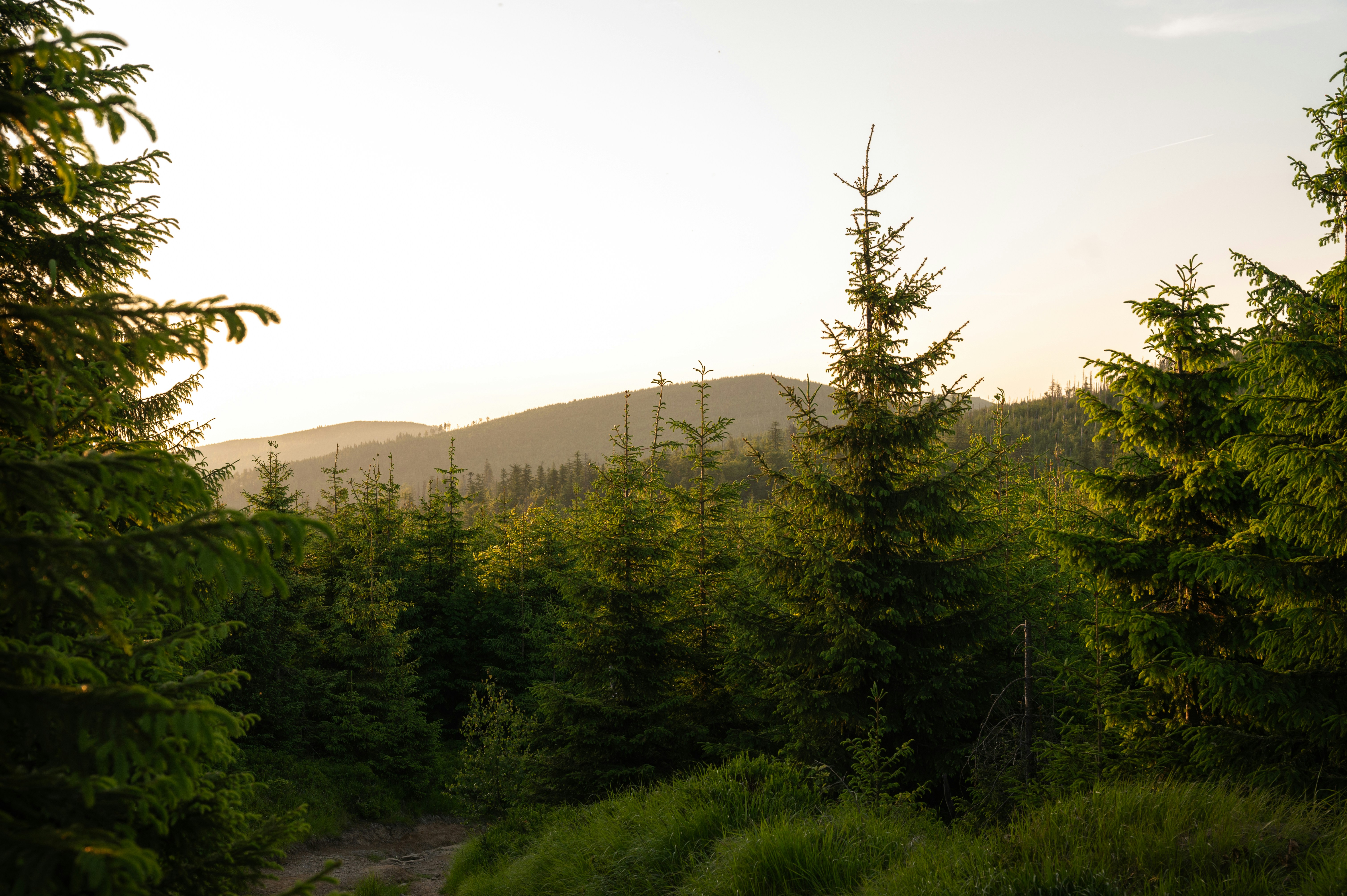 Photo by alexandra_p_d