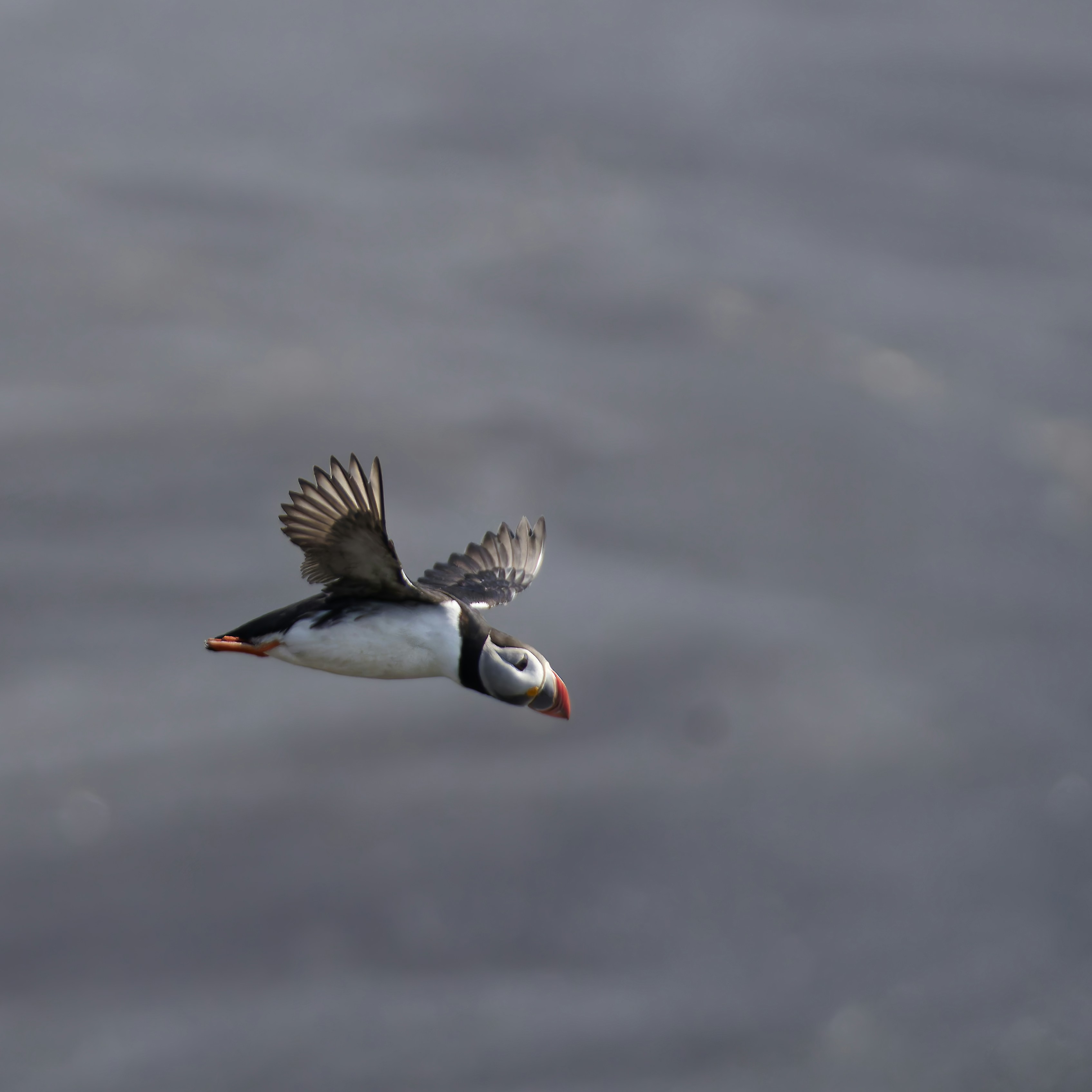 Photo by colinwatts