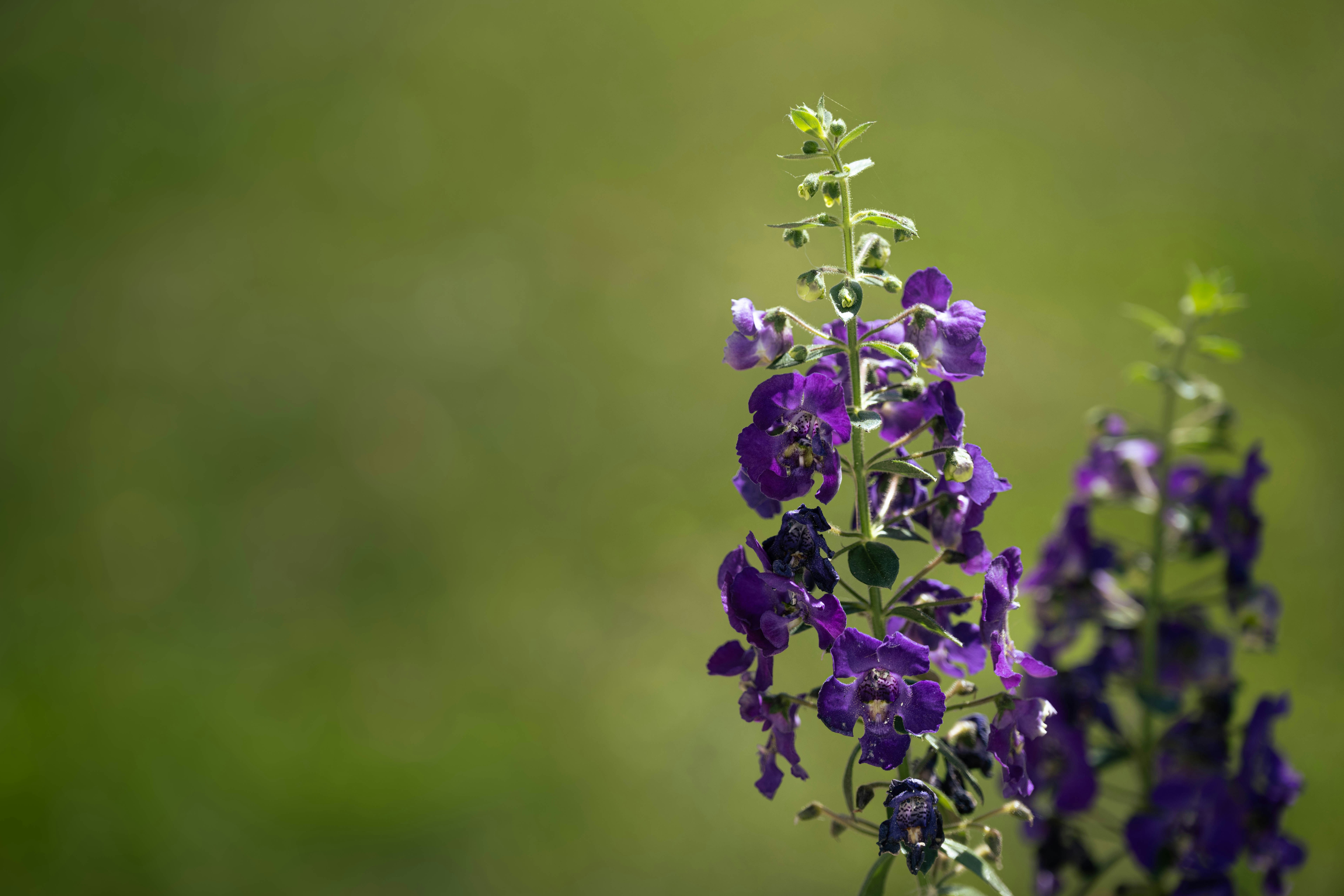 Photo by carterbilawchuk