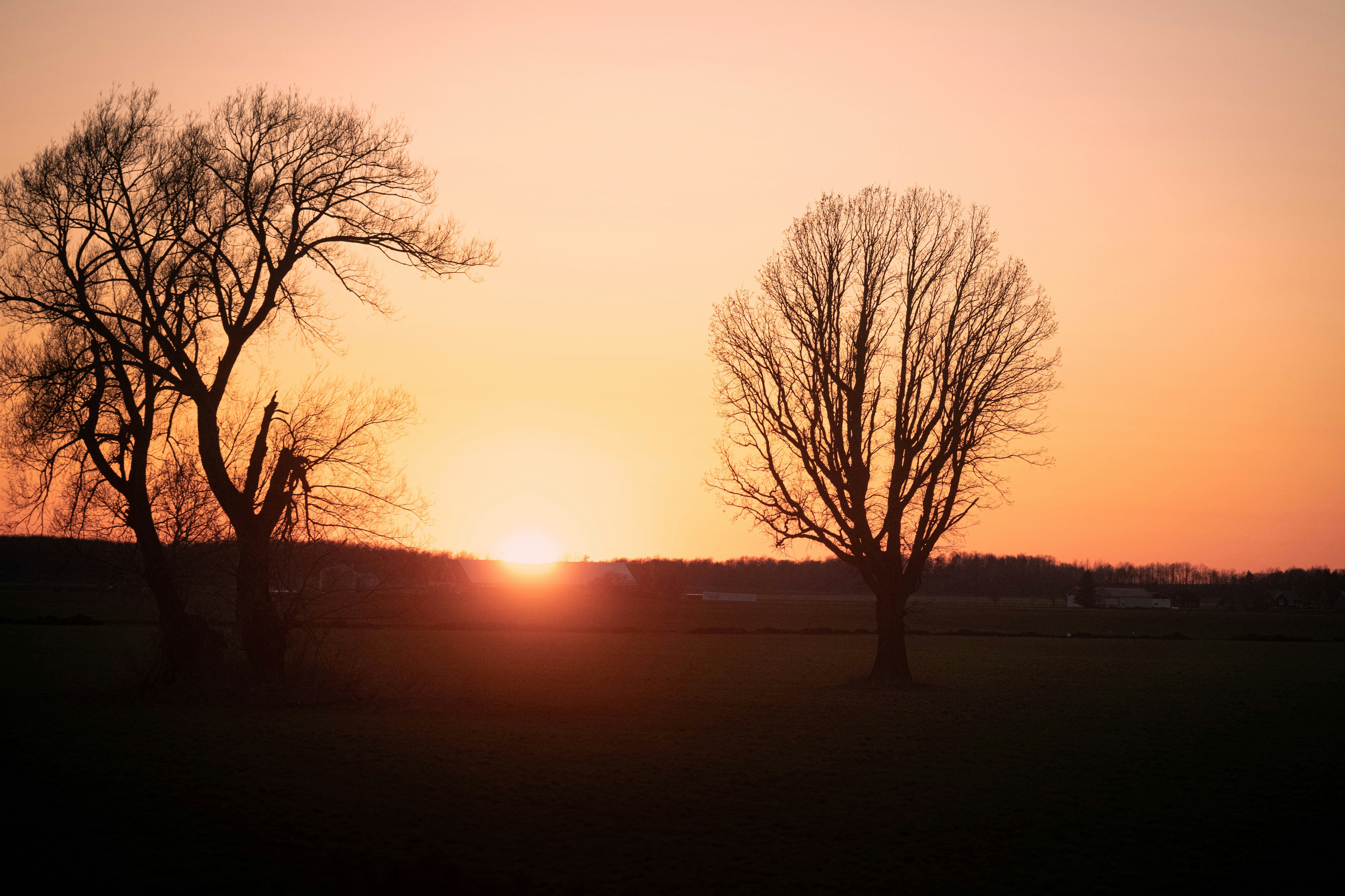 Photo by carterbilawchuk