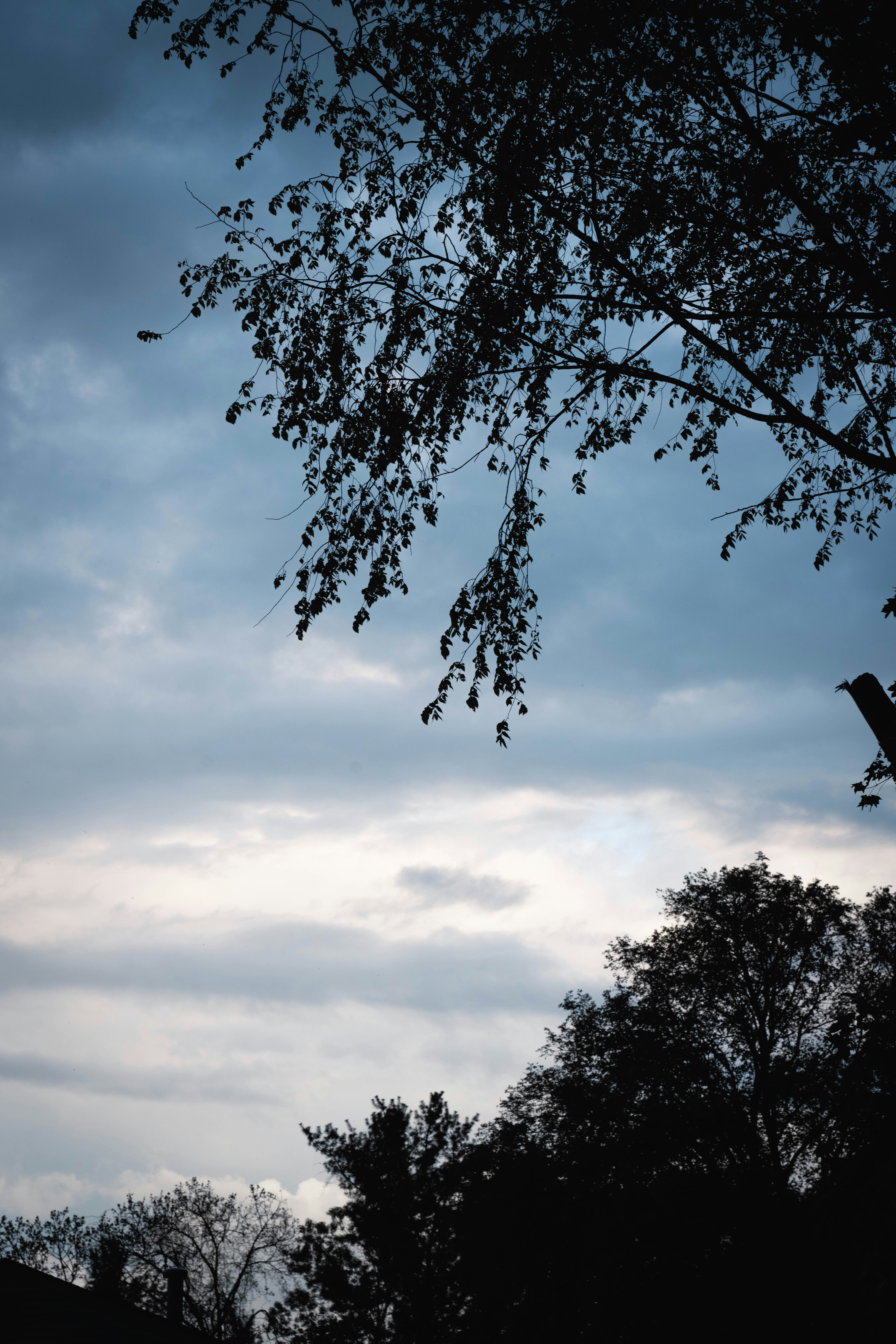 Photo by carterbilawchuk