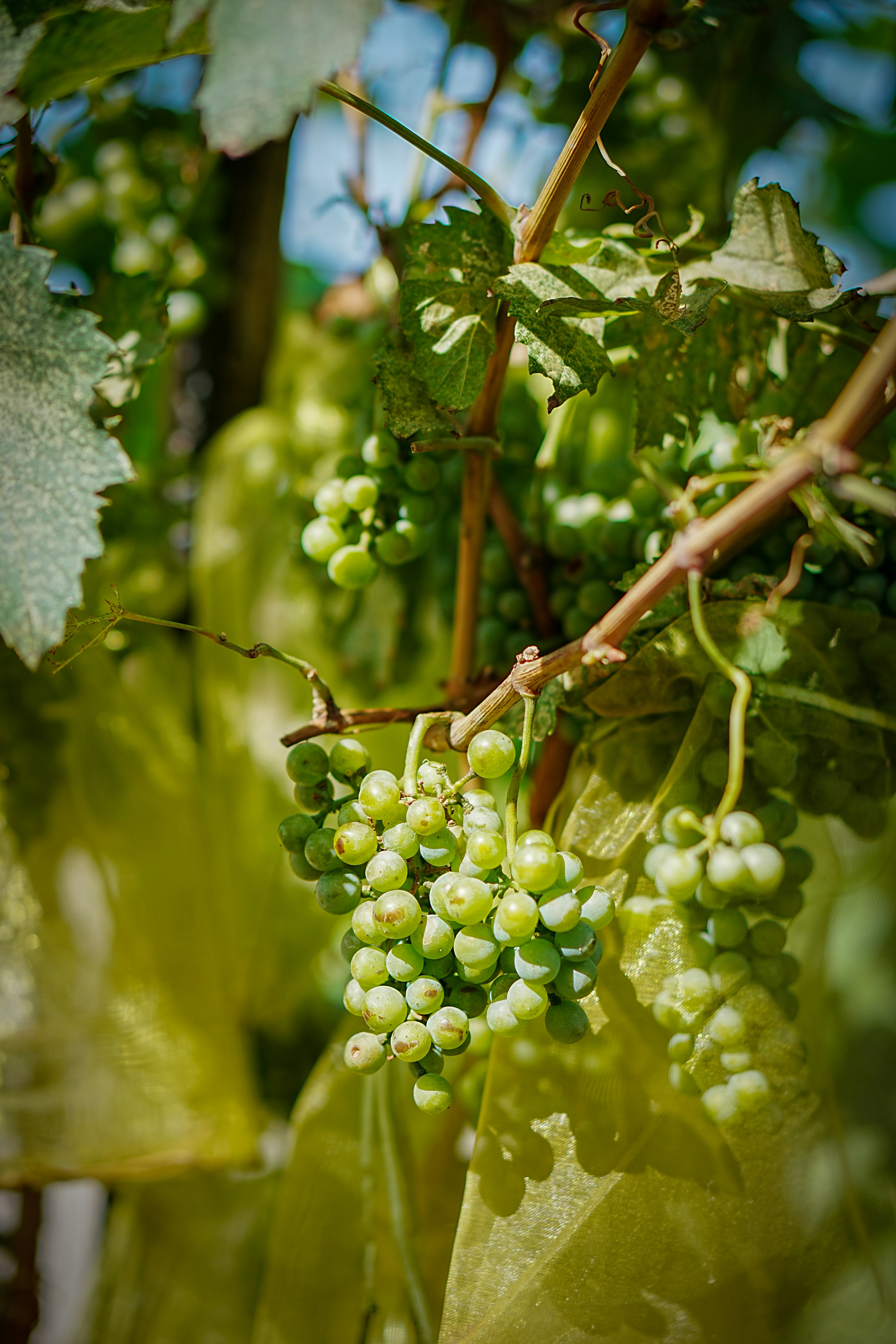 Photo by jcnonstop87