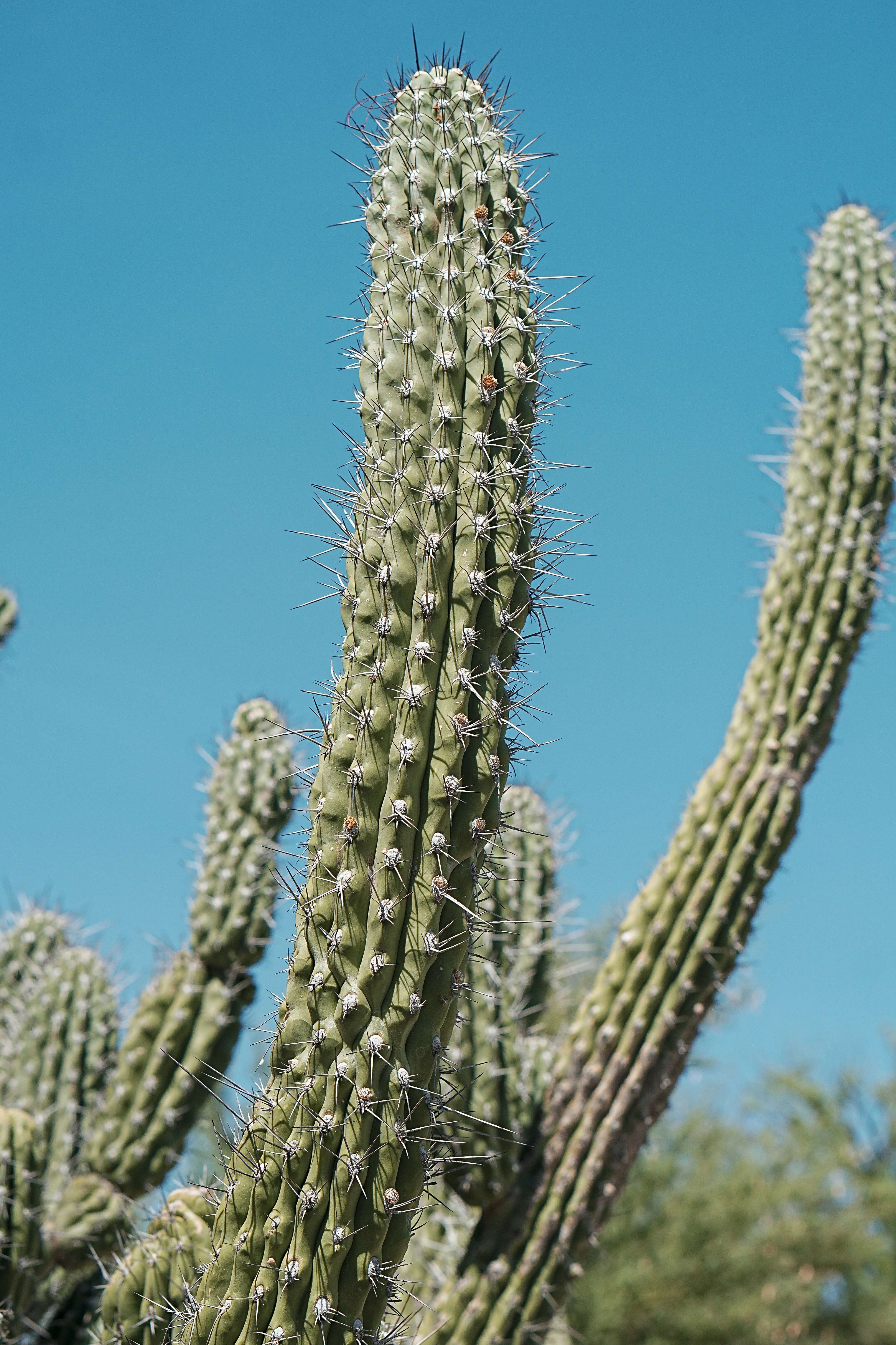 Photo by jcnonstop87