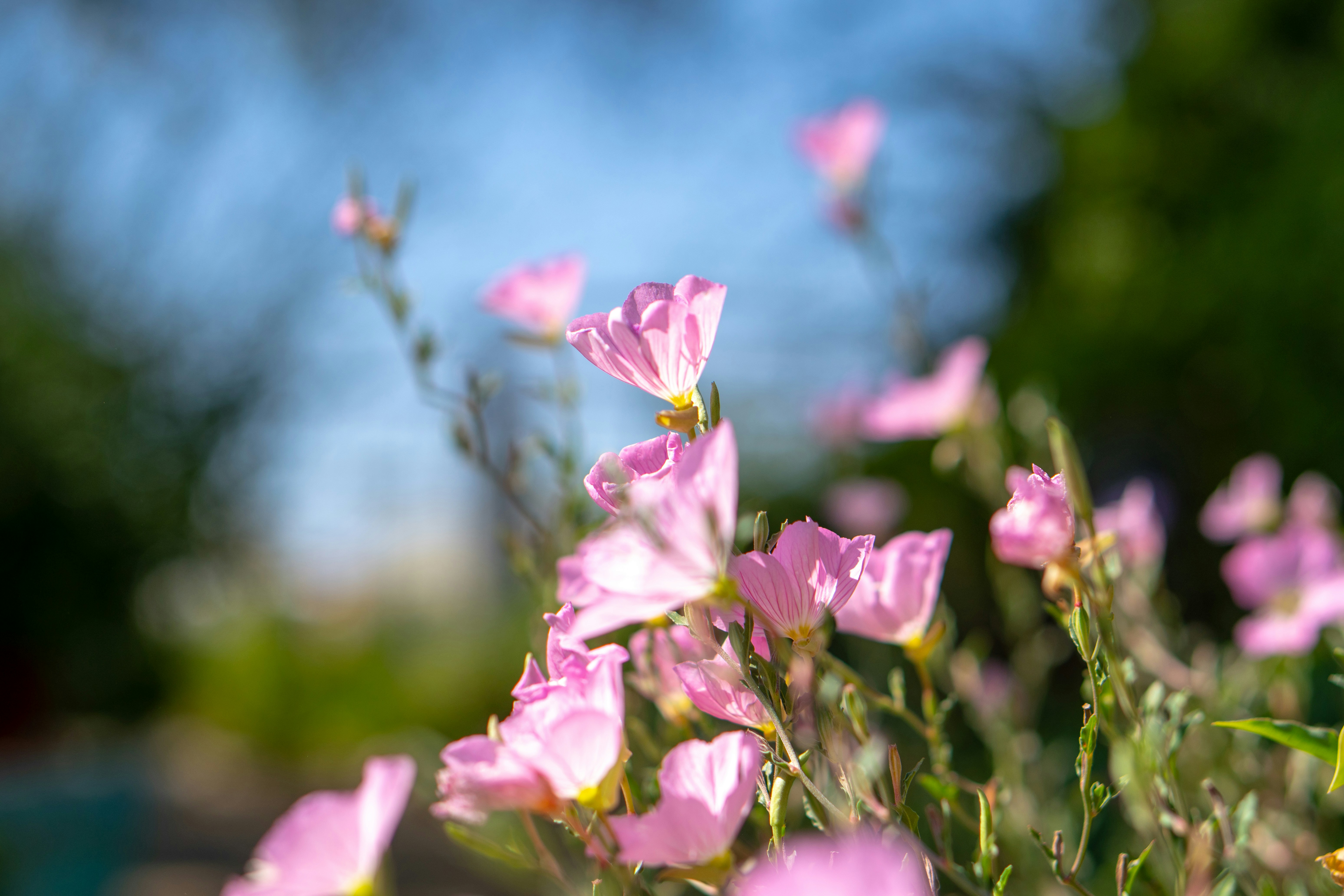 Photo by jcnonstop87