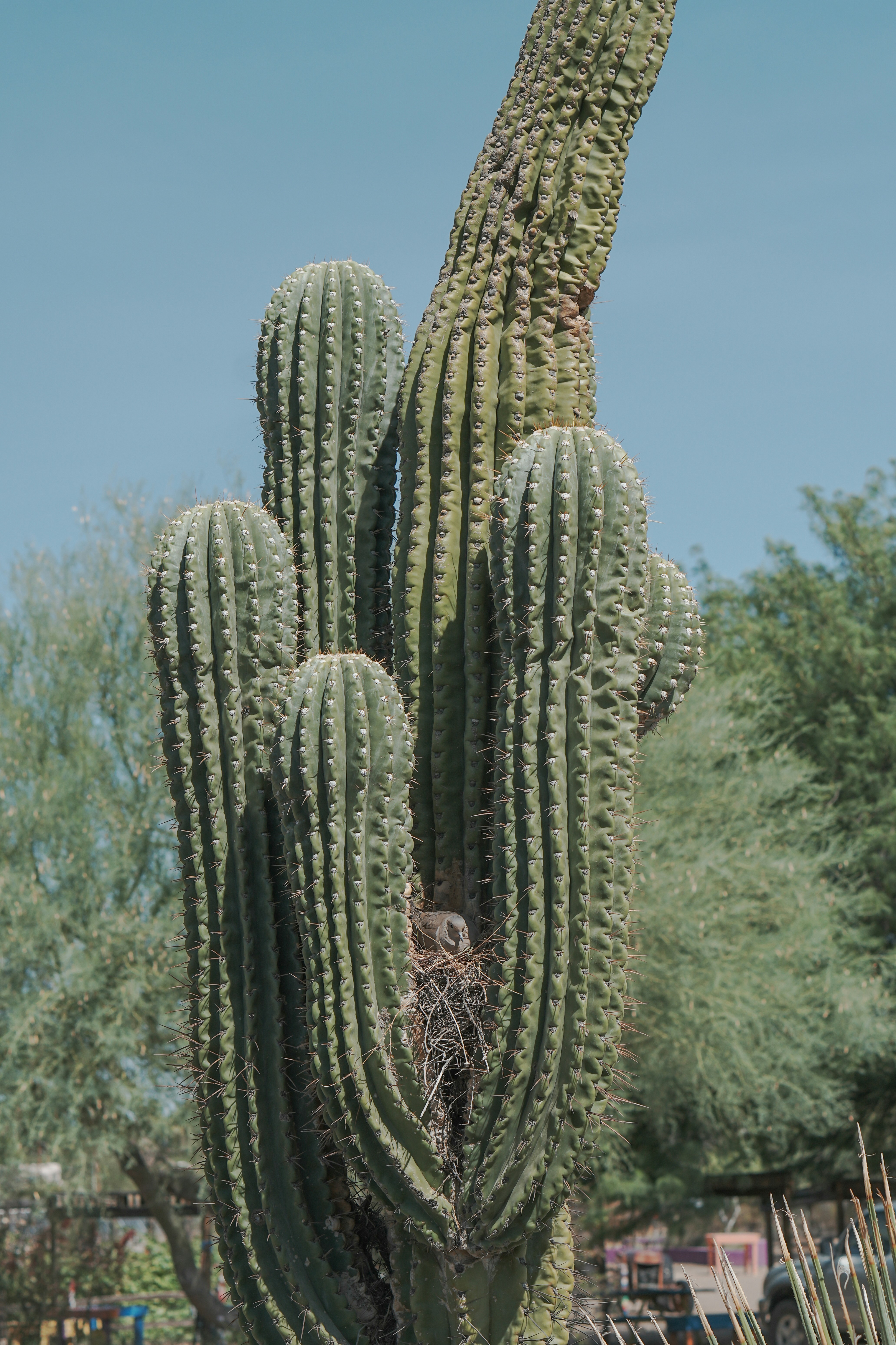 Photo by jcnonstop87