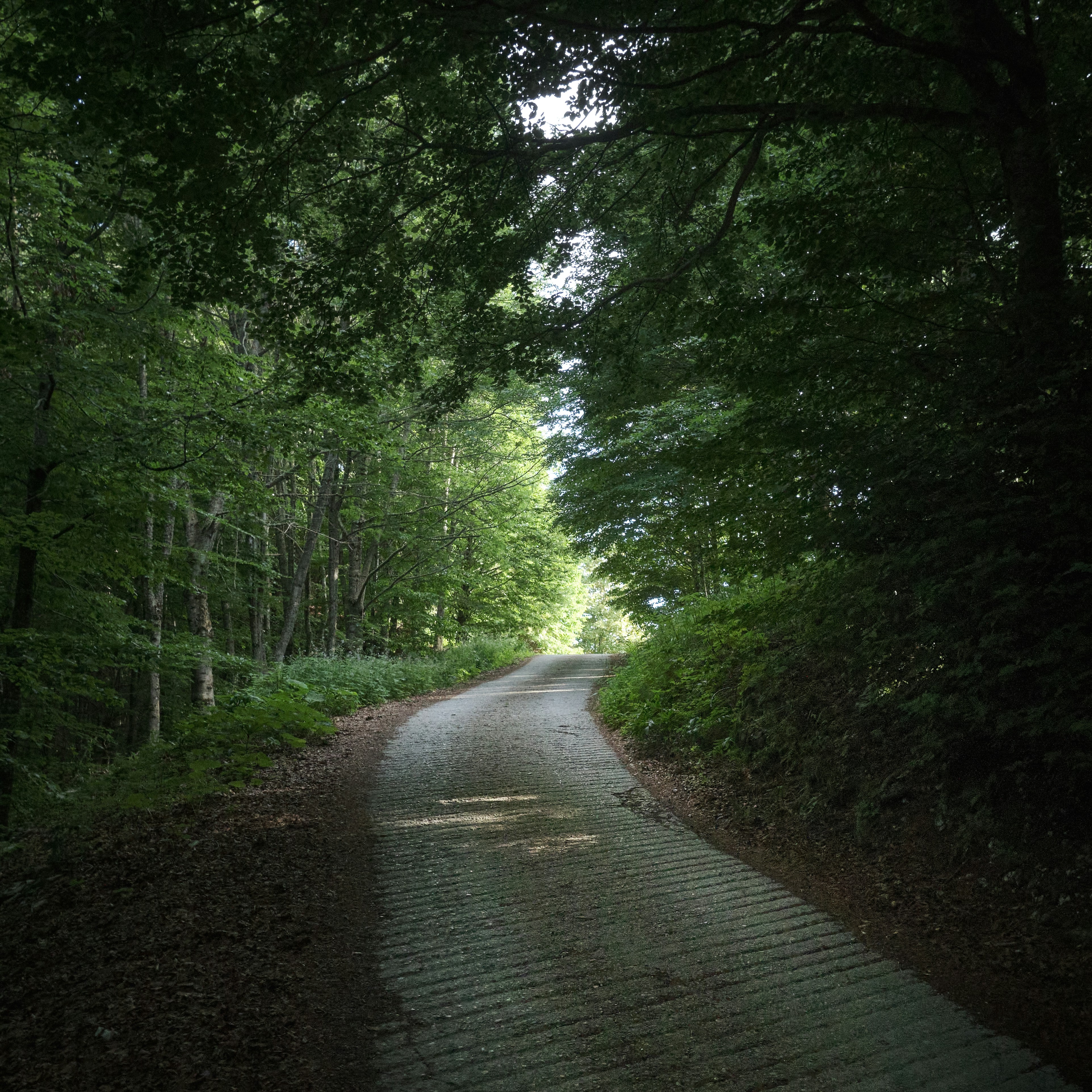 Photo by alessiofurlan