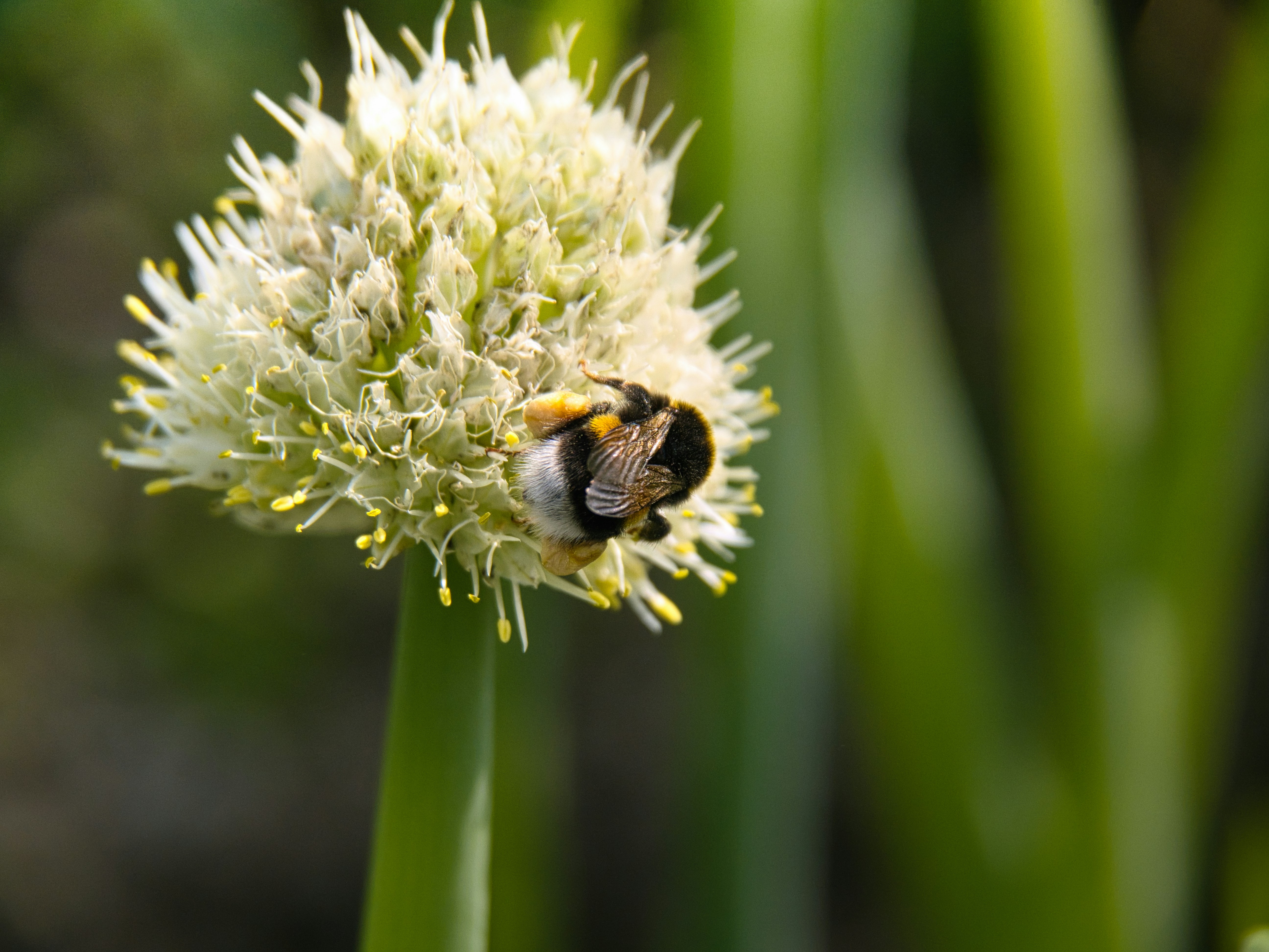 Photo by theskytales