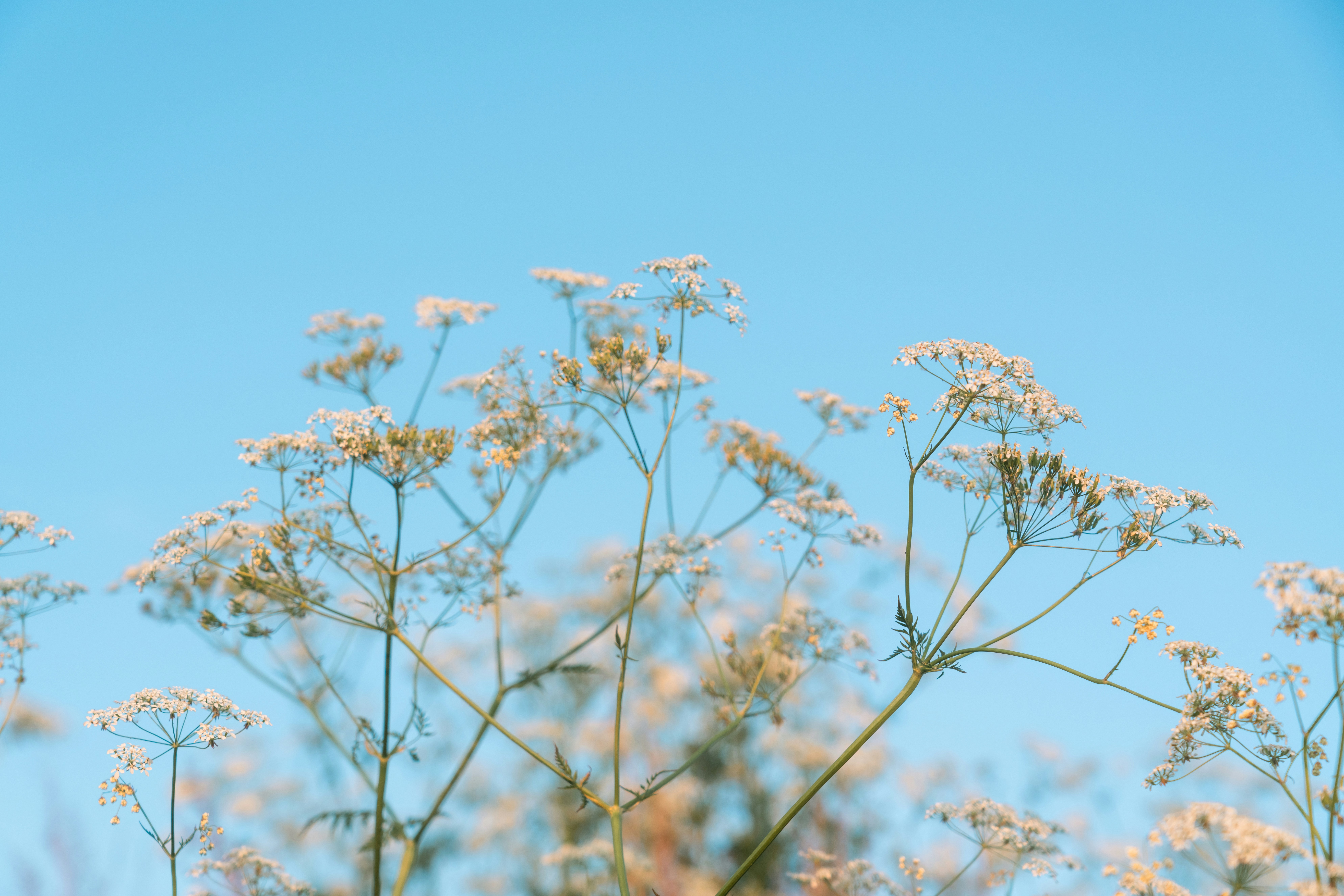 Photo by celyartthou