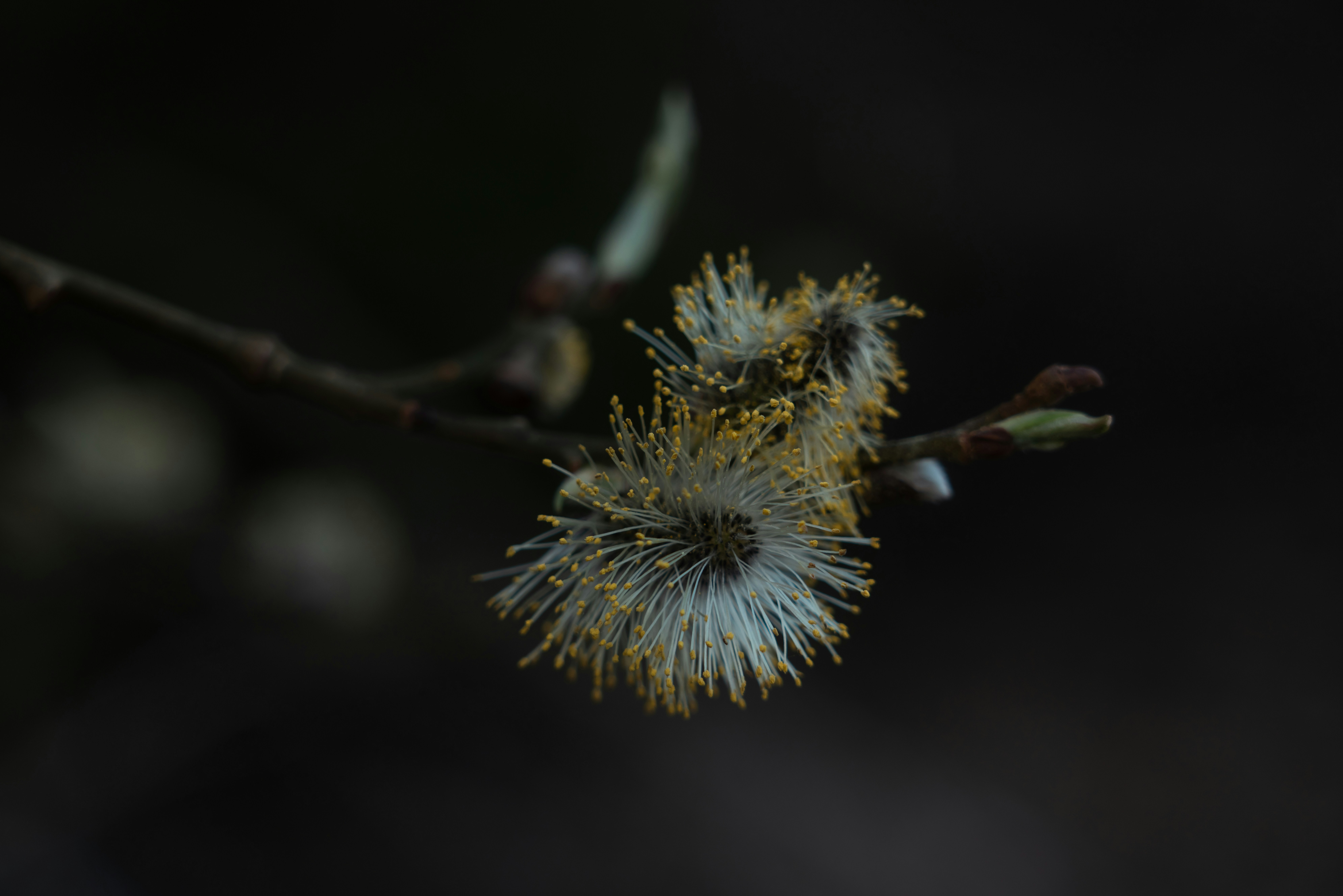 Photo by celyartthou