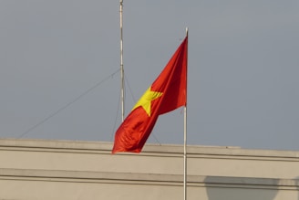 Drapeau Vietnamien