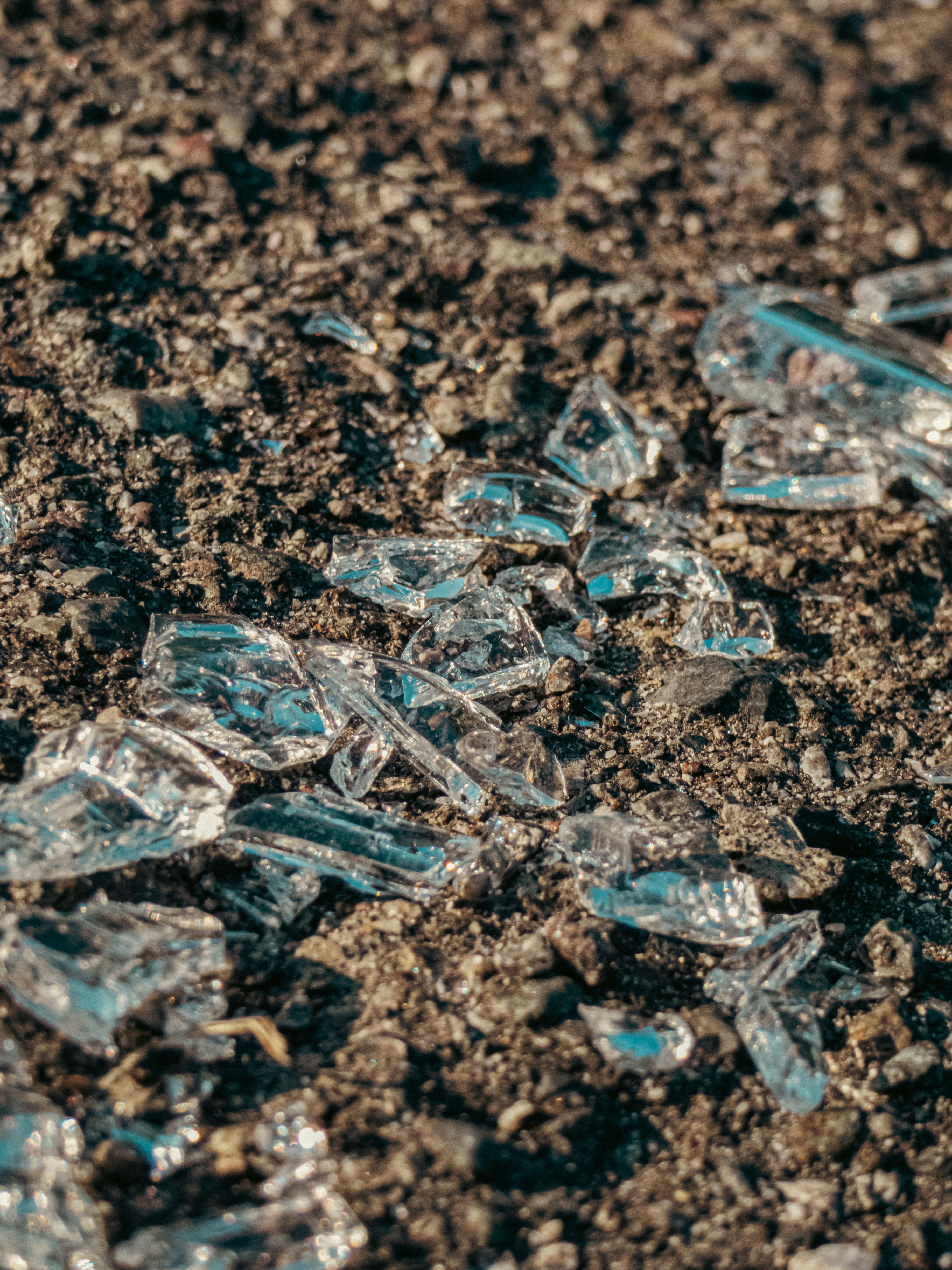 Photo by justmeandcamera