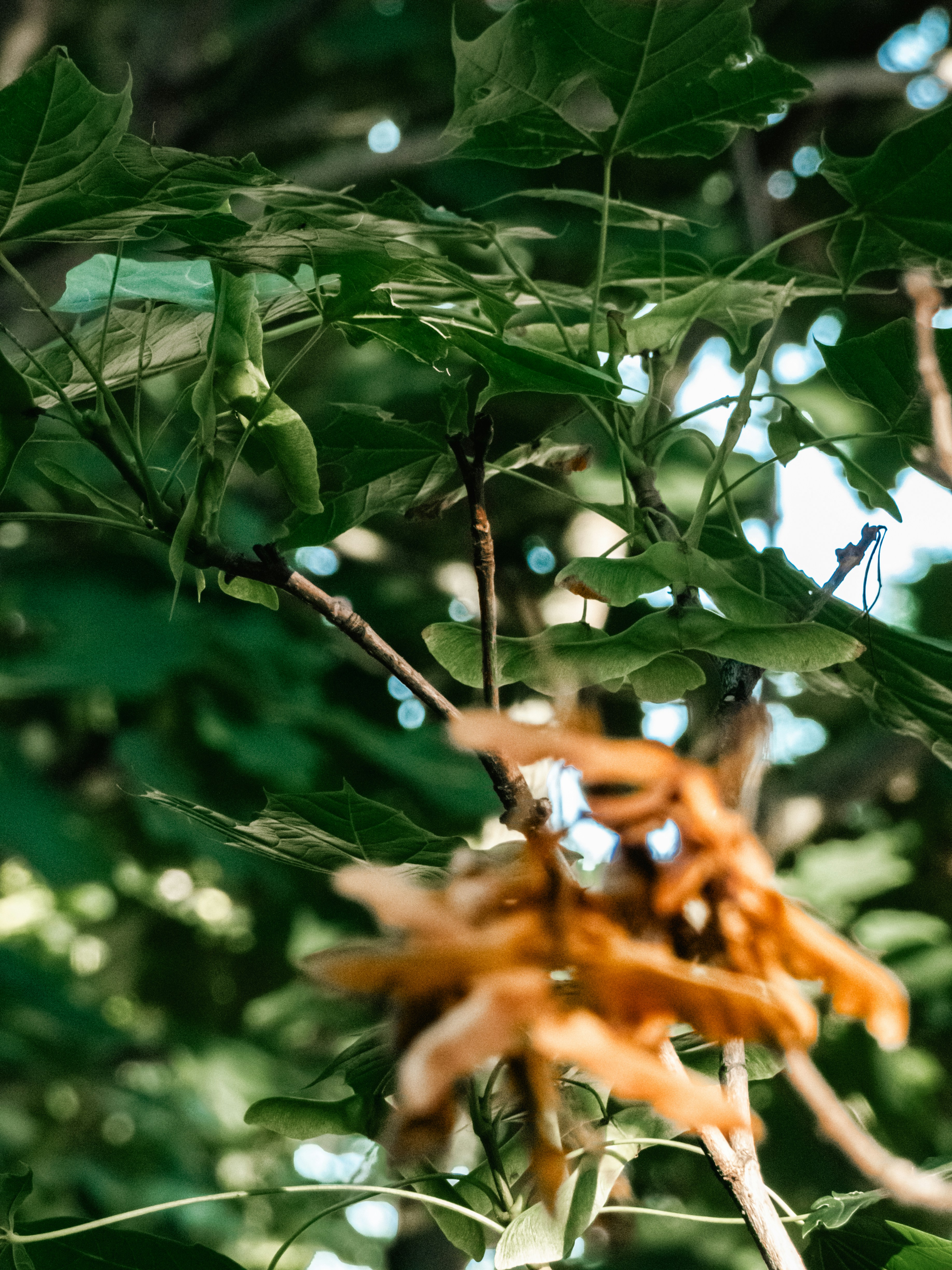 Photo by justmeandcamera