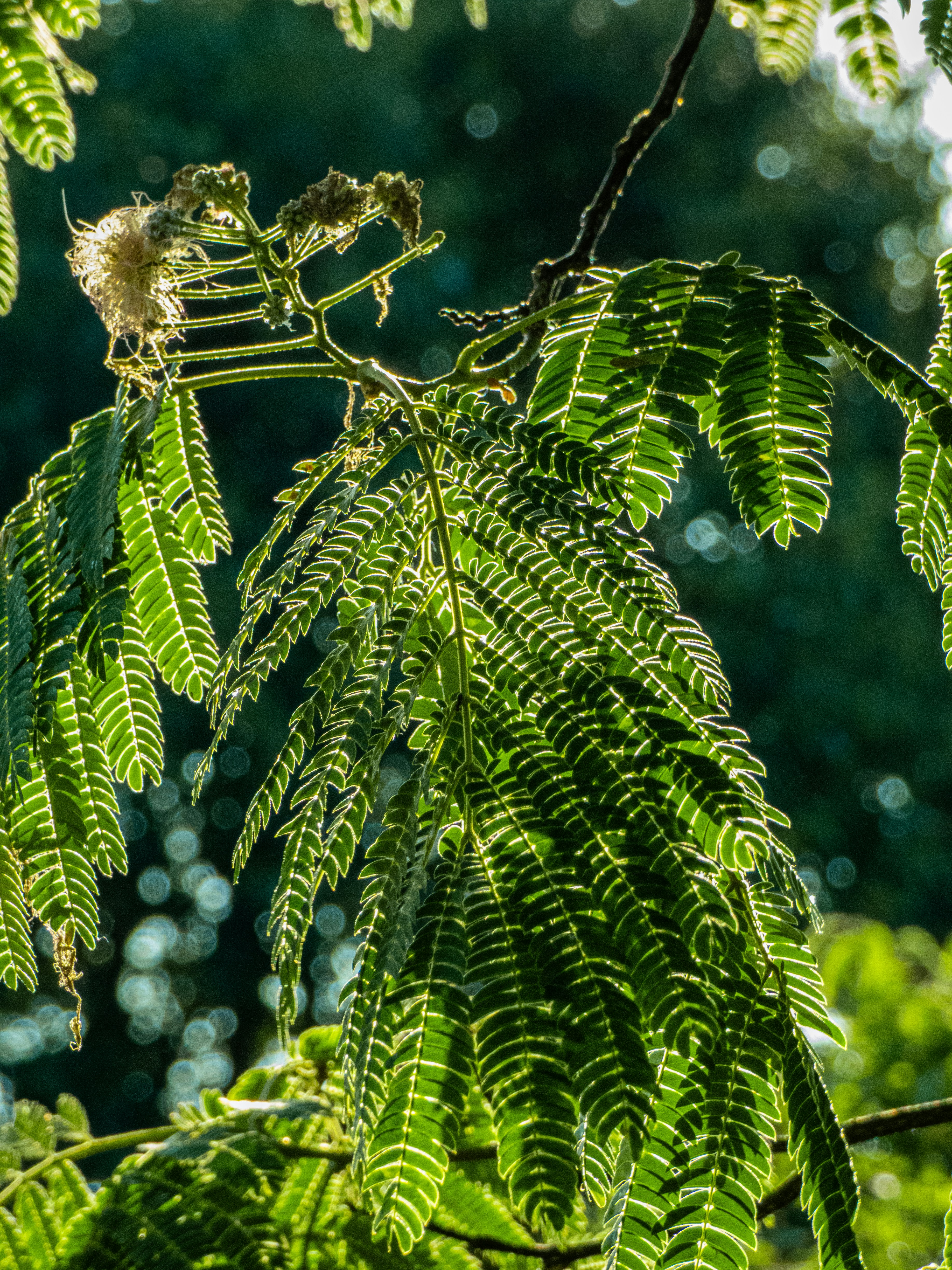 Photo by justmeandcamera