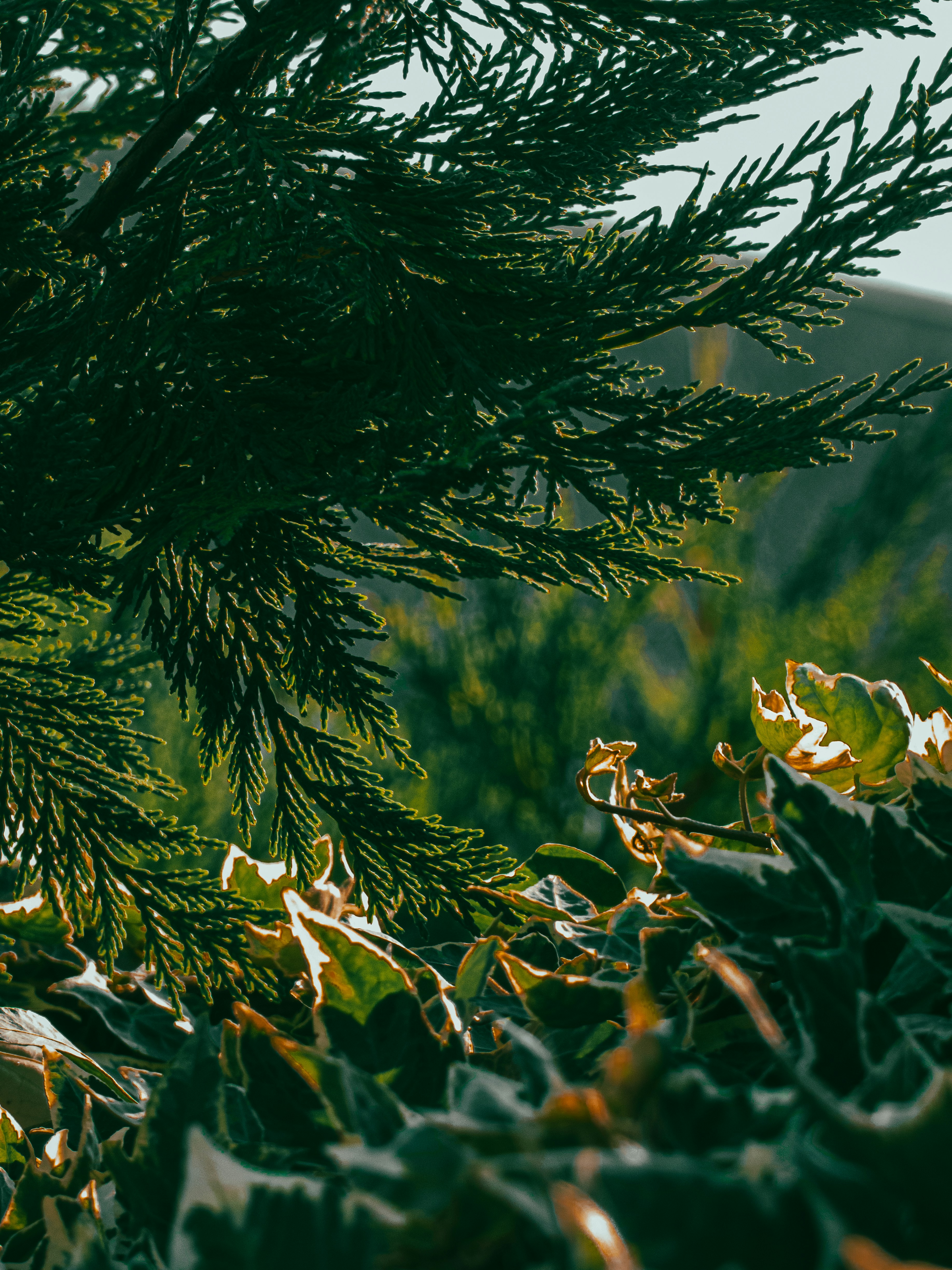 Photo by justmeandcamera