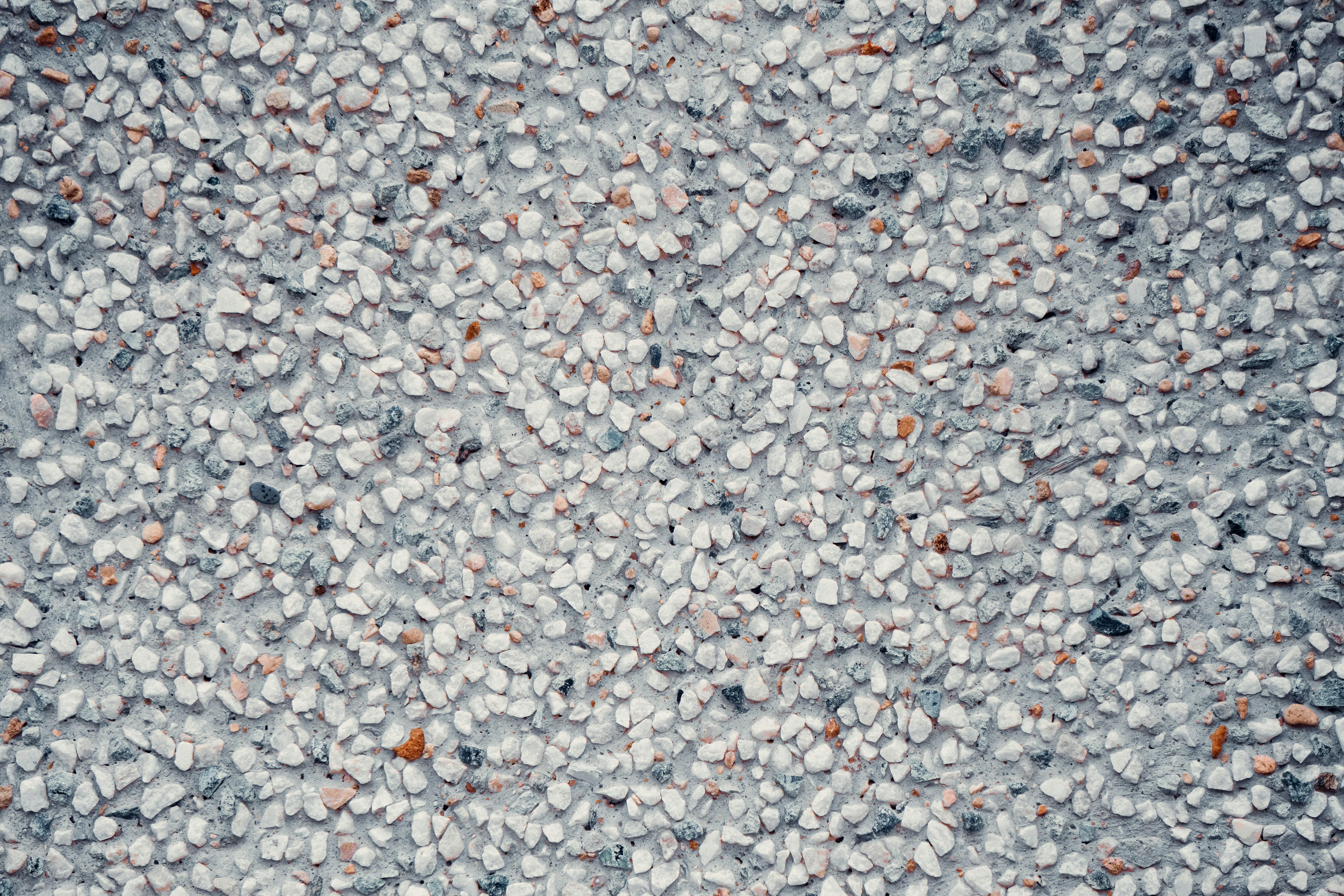 A close-up shot of a textured, gravelly surface.