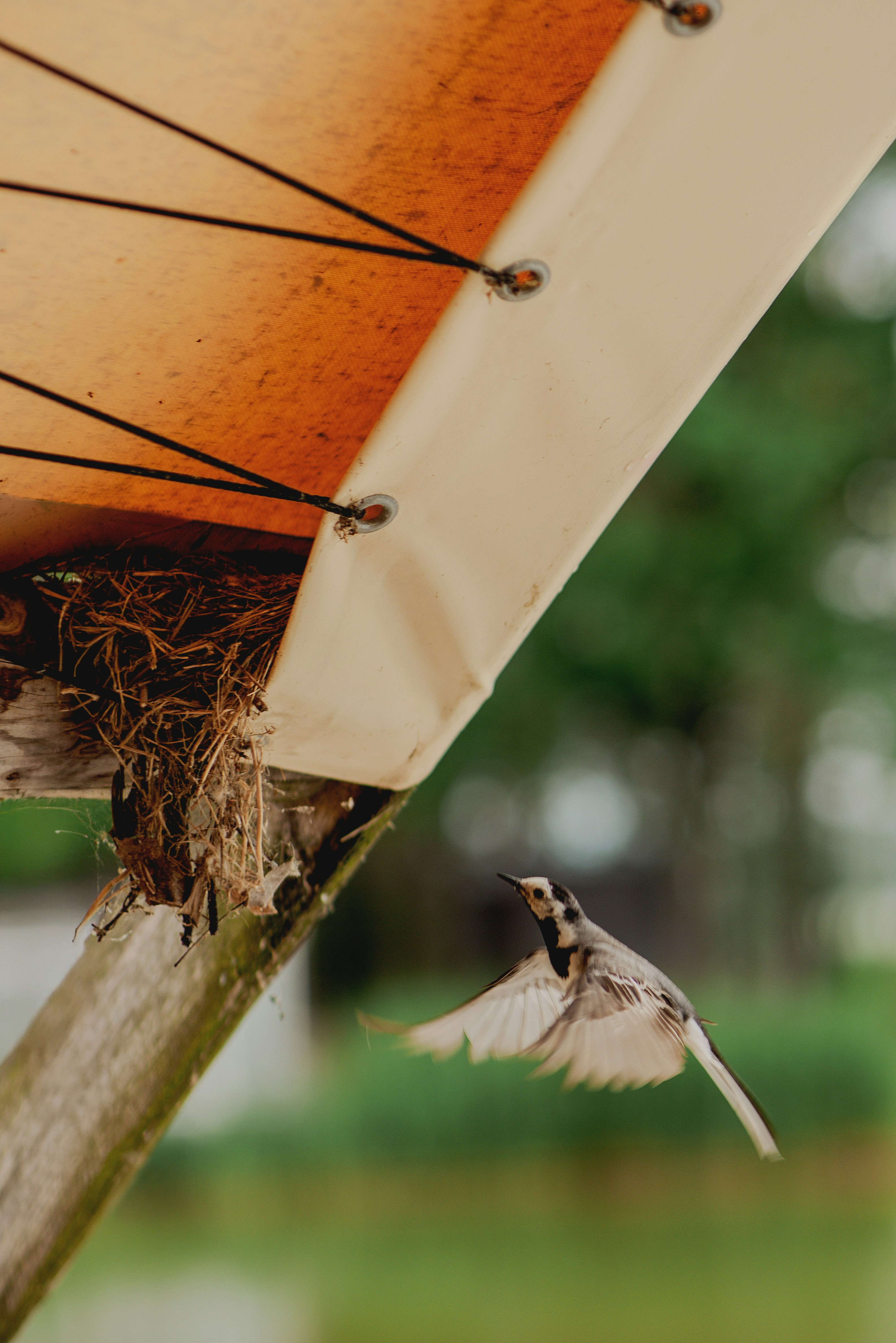 Photo by eugenivy_now