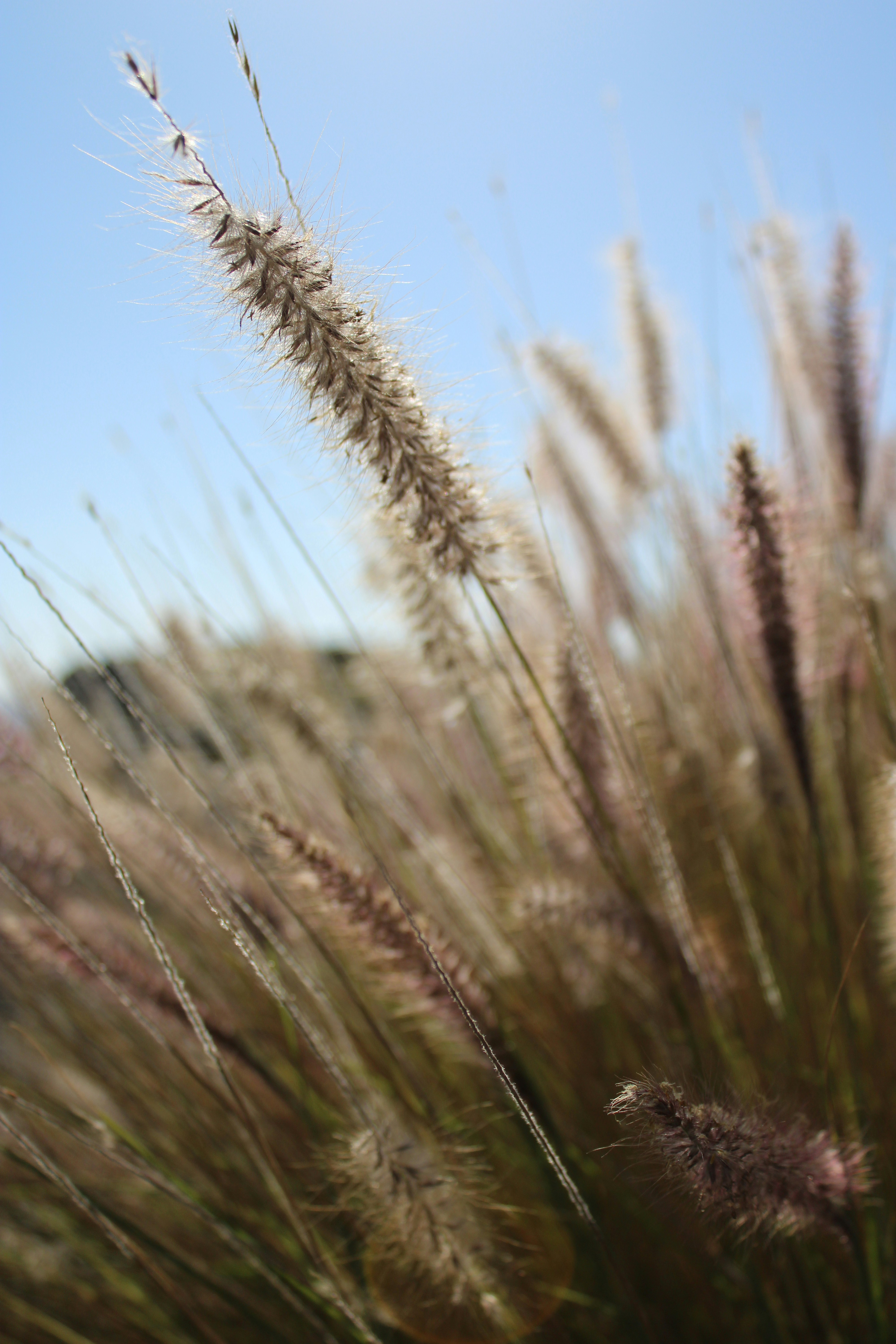 Photo by whitney2025