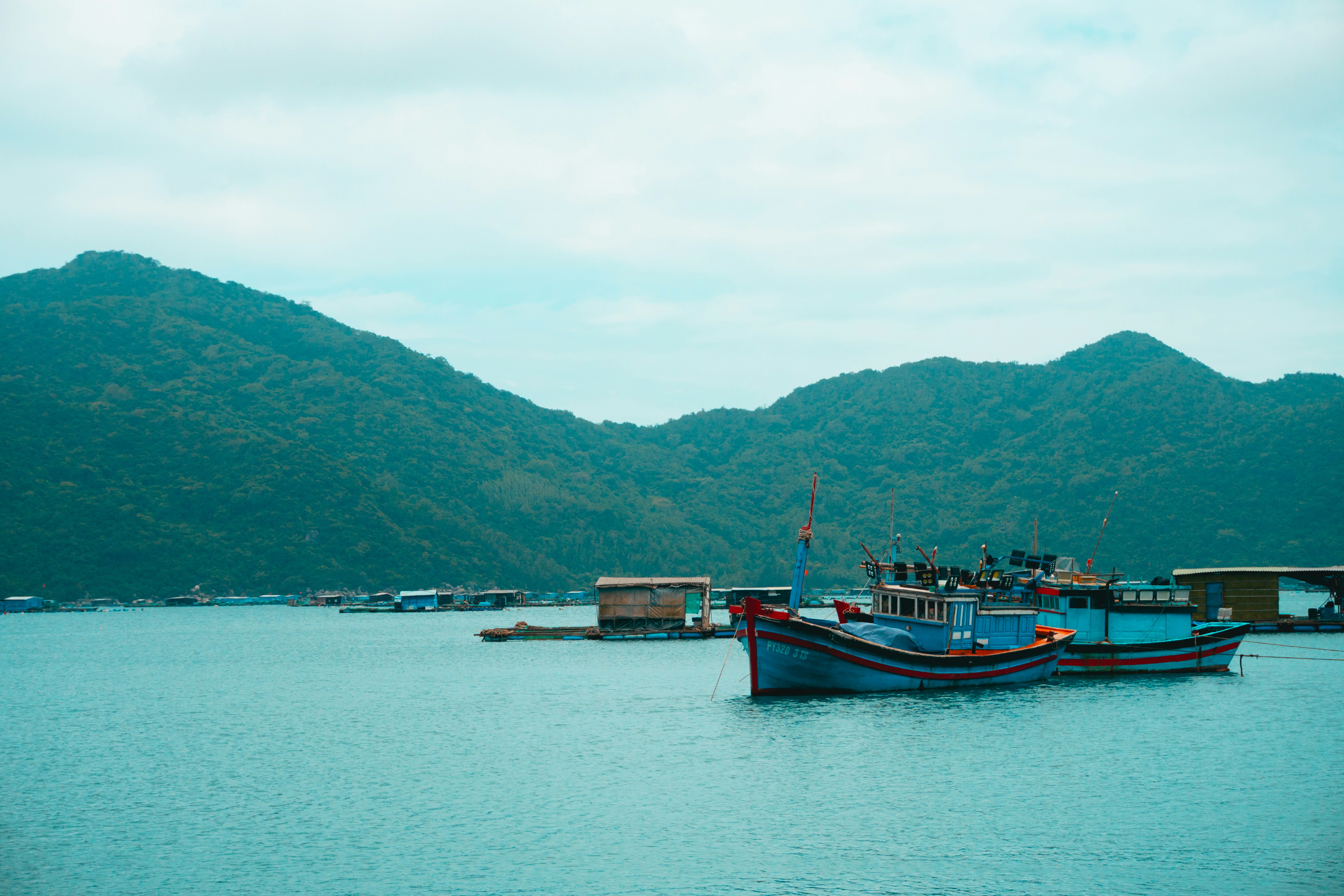 Photo by jaydinh1296