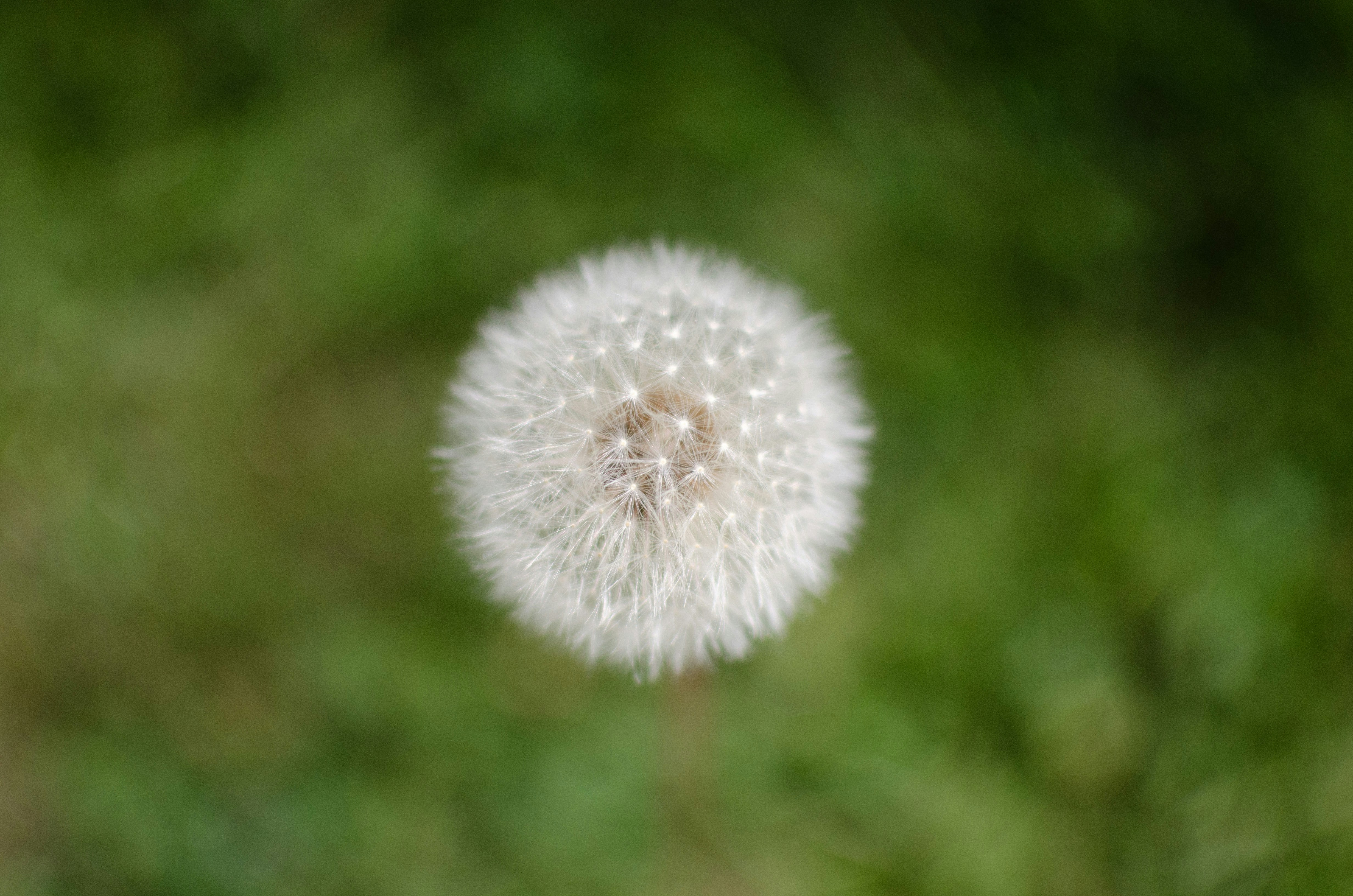 Photo by elysalbgraphiste