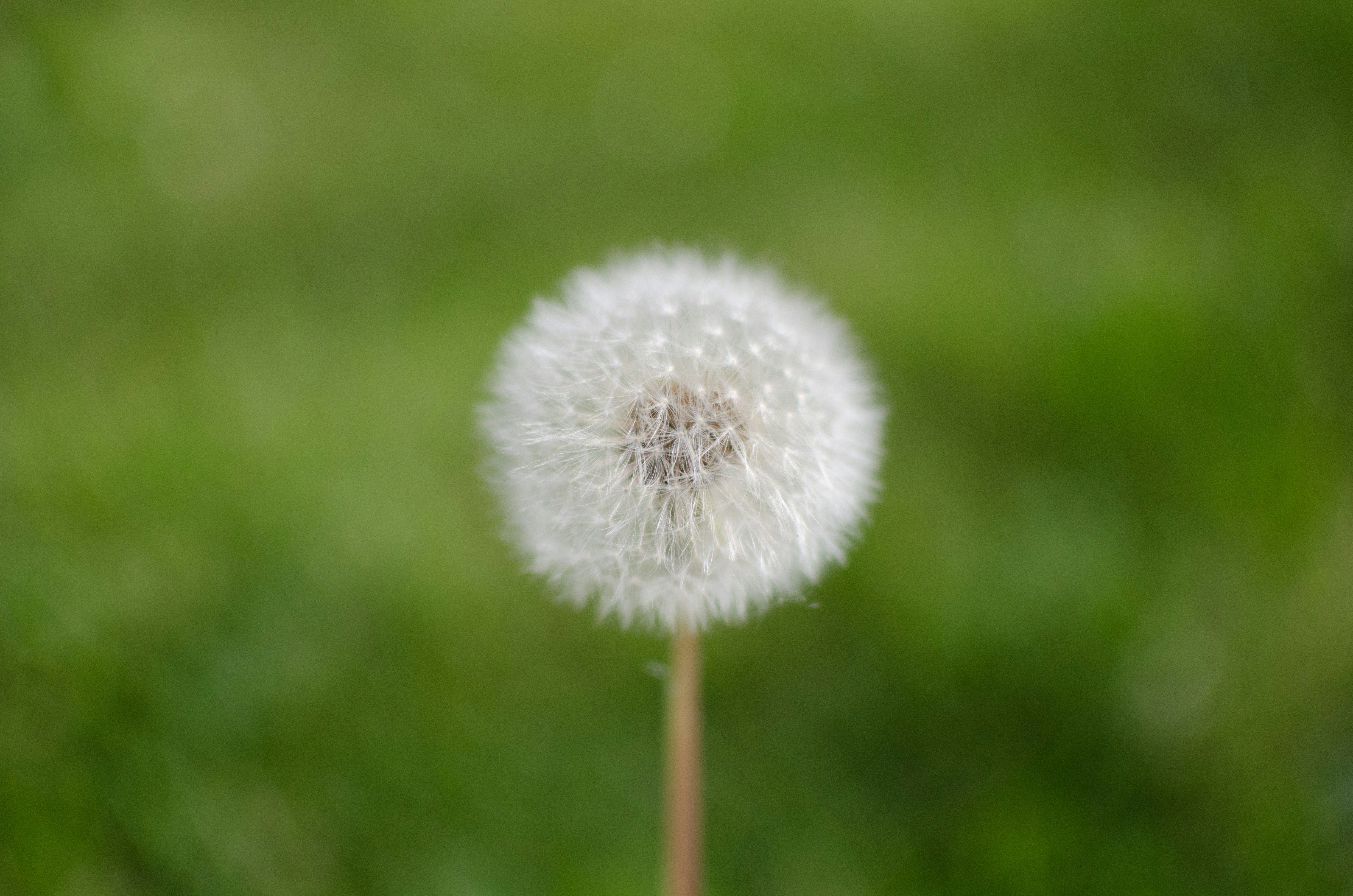 Photo by elysalbgraphiste