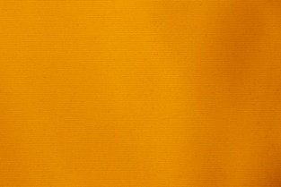 A plain orange background fills the image.