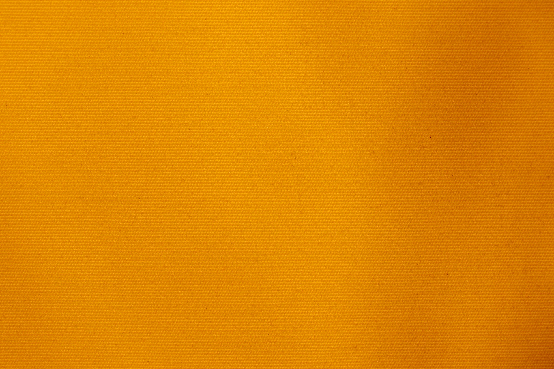 A plain orange background fills the image.
