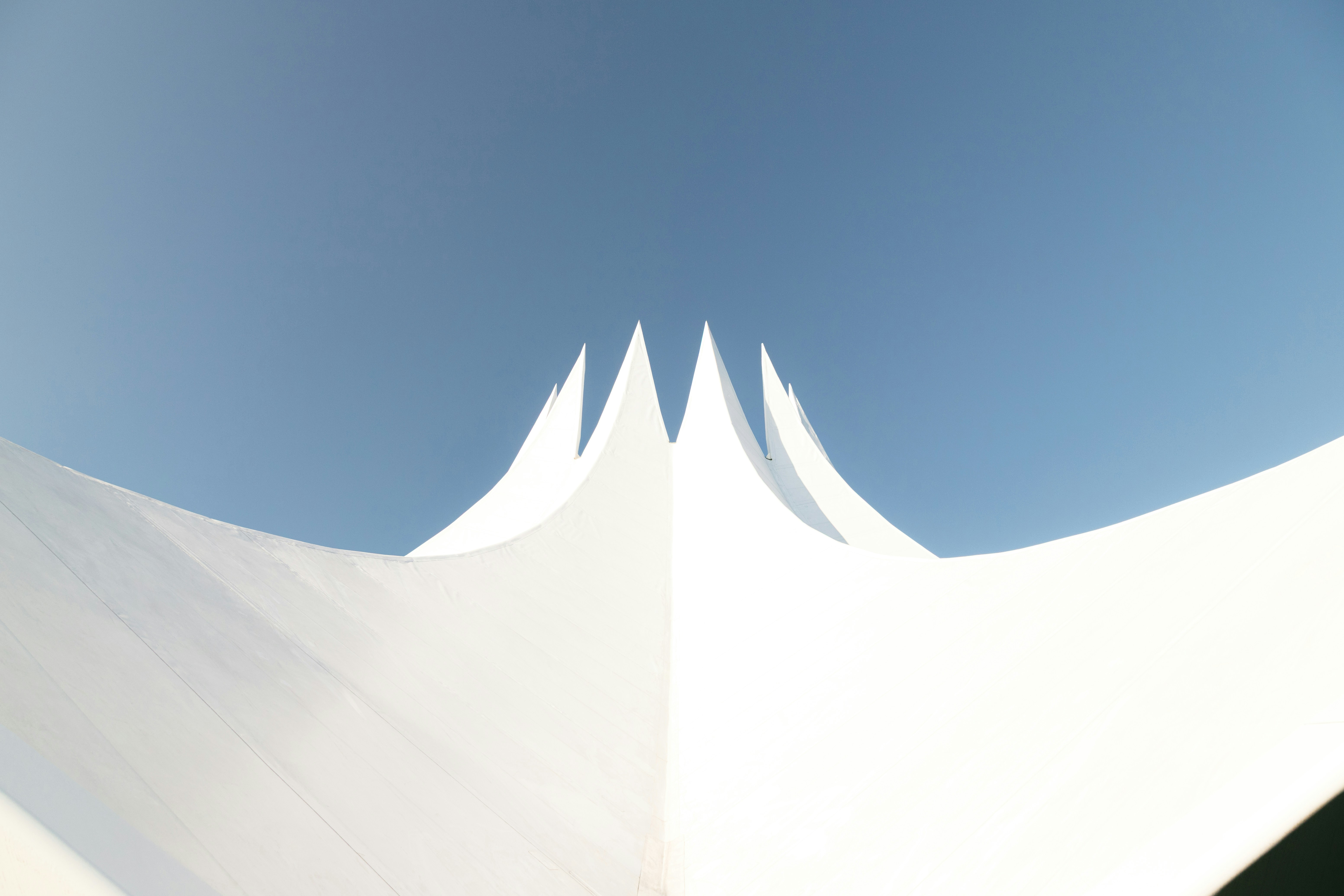 Photo by nikita_pishchugin